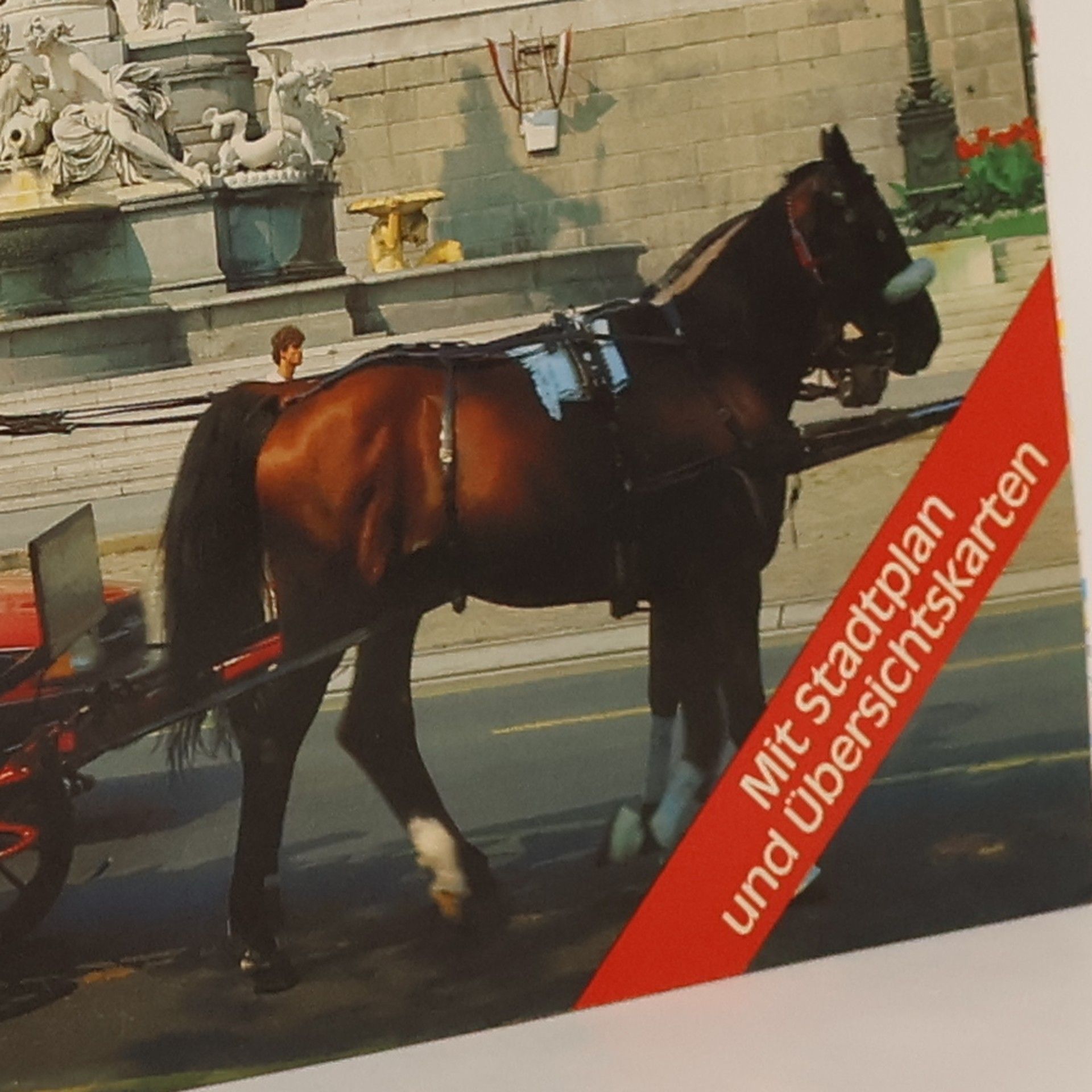 Gu nter K. Kodek Wien