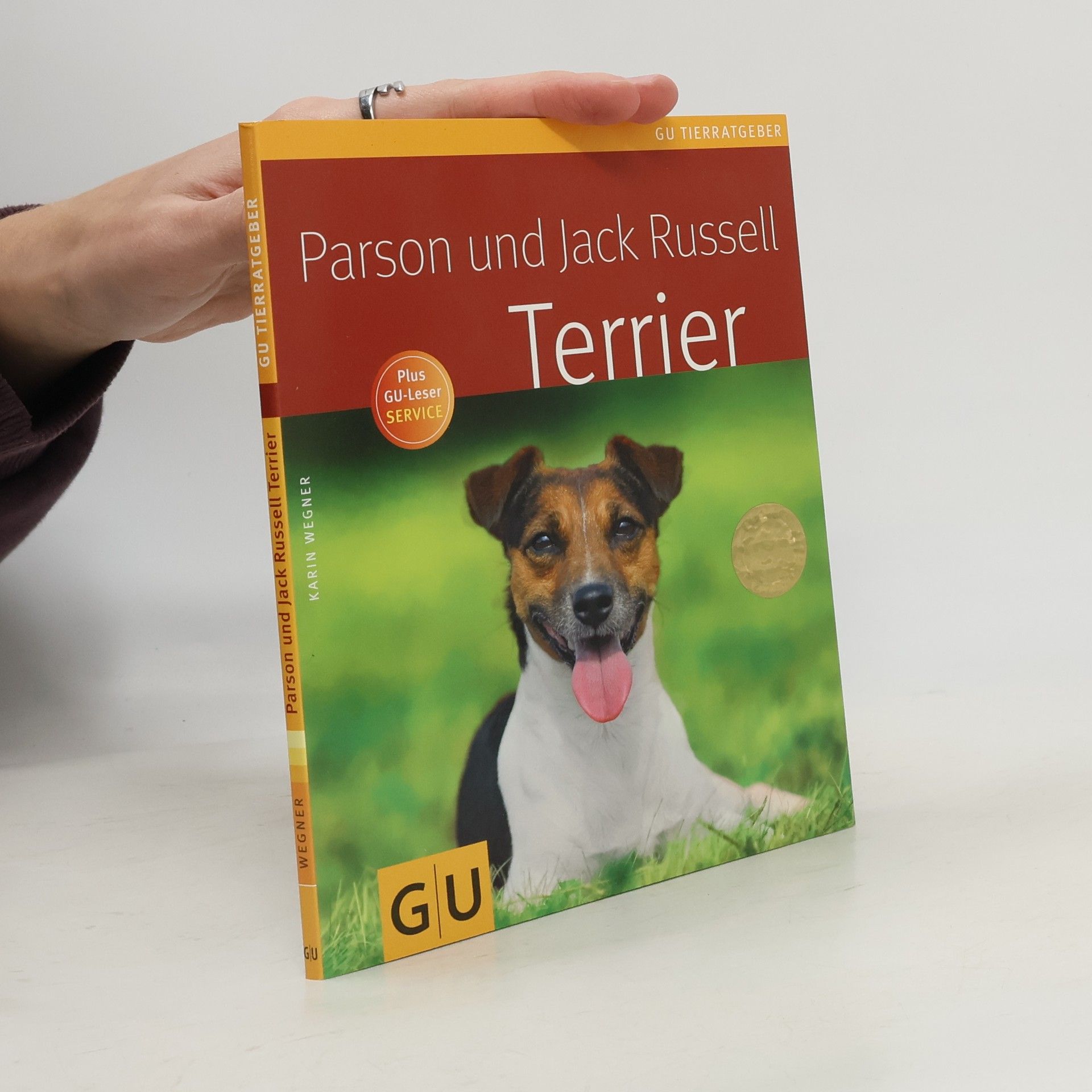 Parson und Jack Russell Terrier