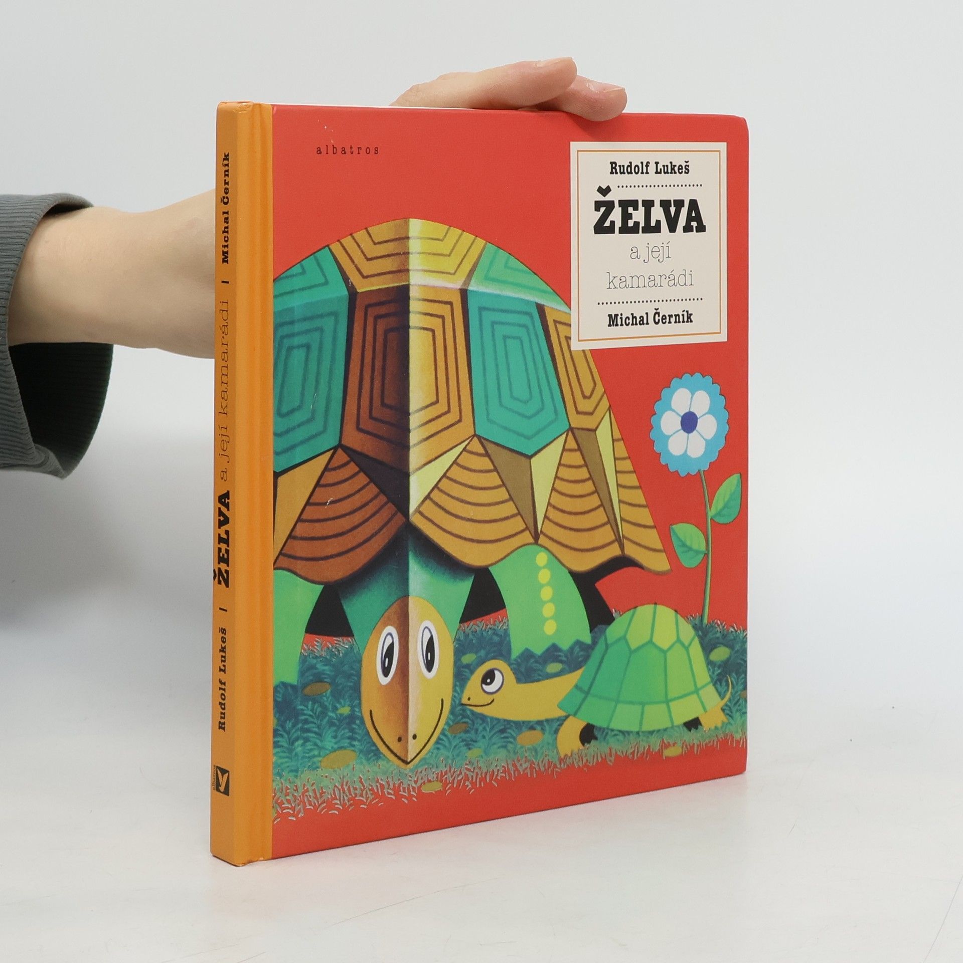 Želva a její kamarádi