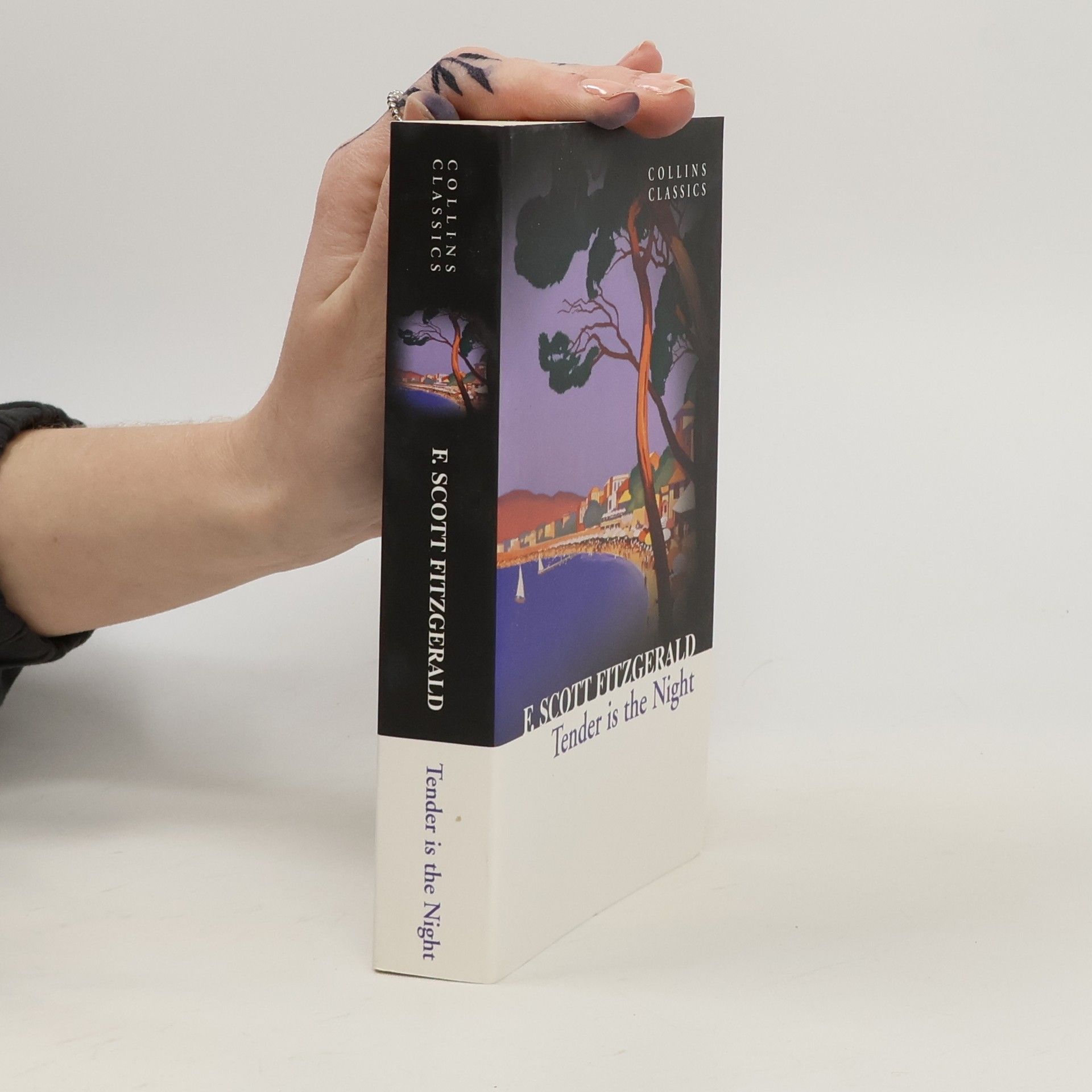 F. Scott Fitzgerald Tender is The Night