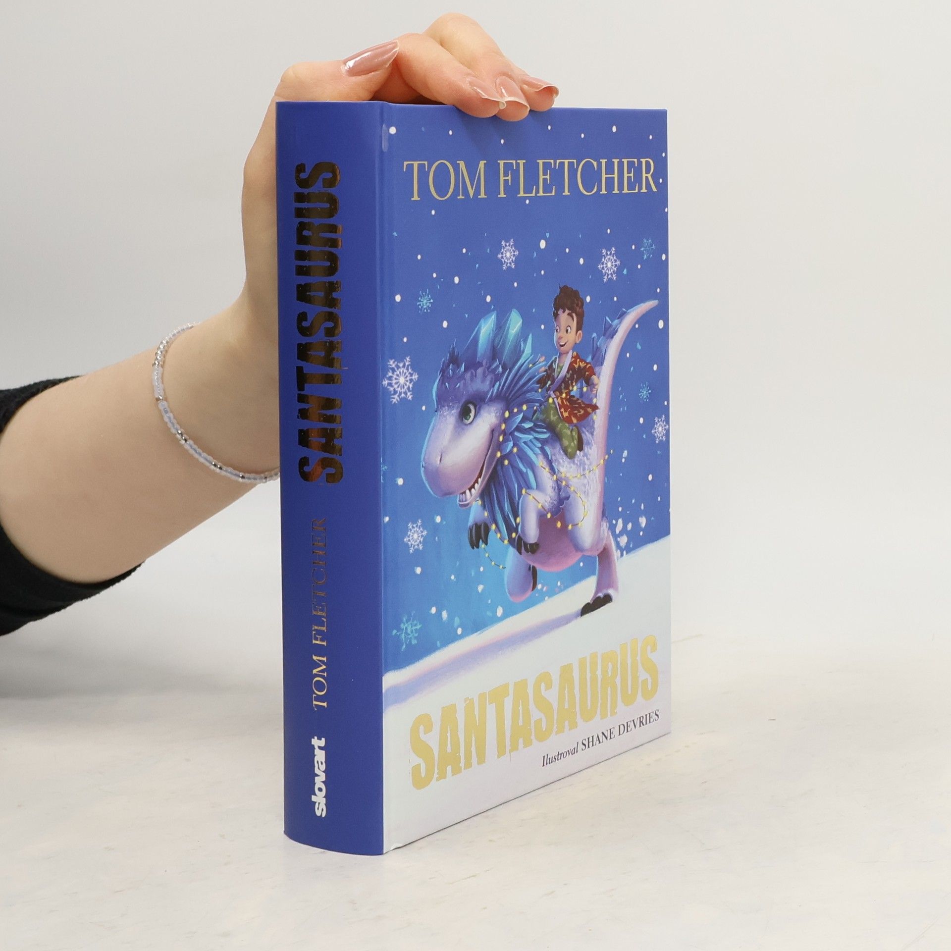 Tom Fletcher Santasaurus