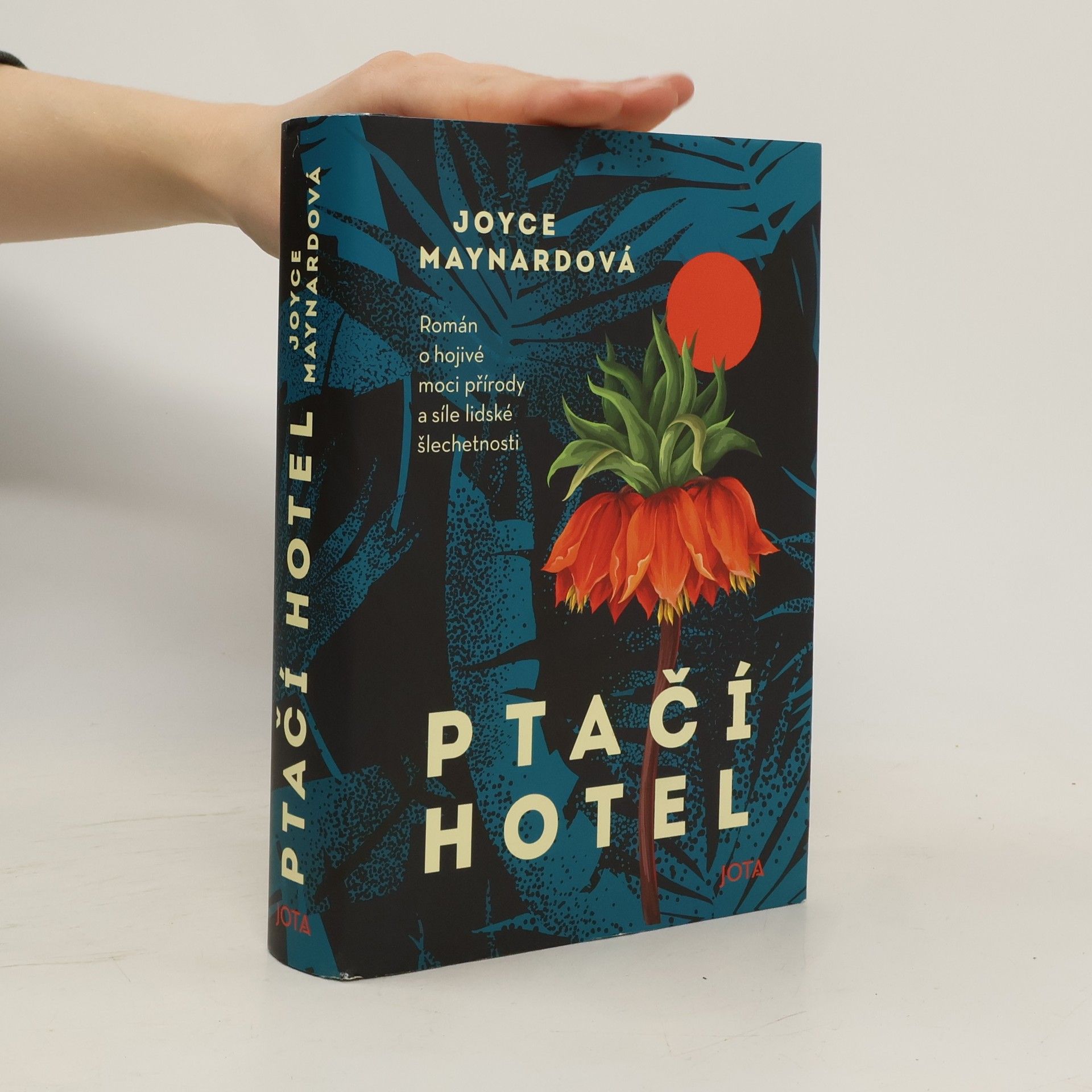 Joyce Maynard Ptačí hotel