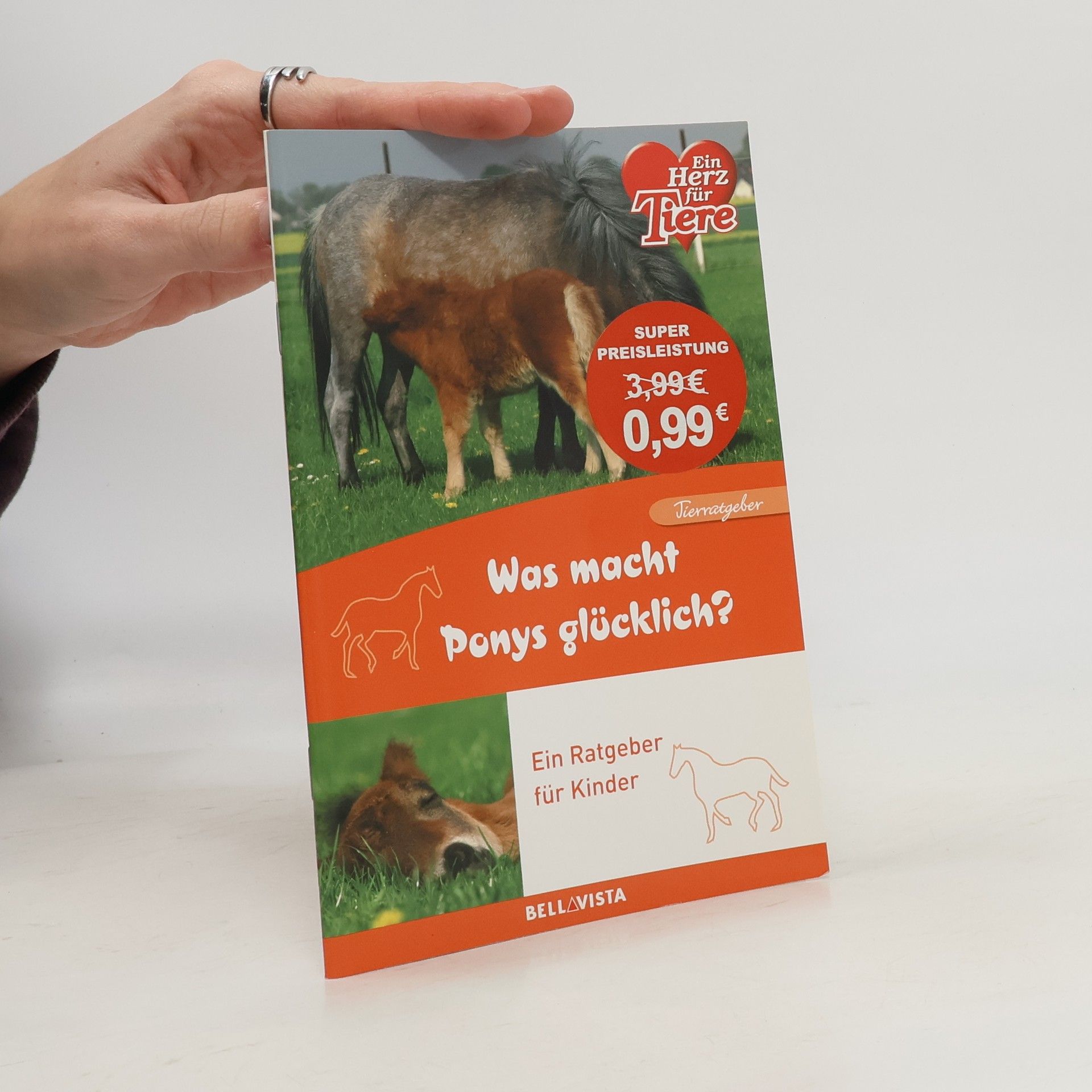 Ulrike Gerold Was macht Ponys glücklich?