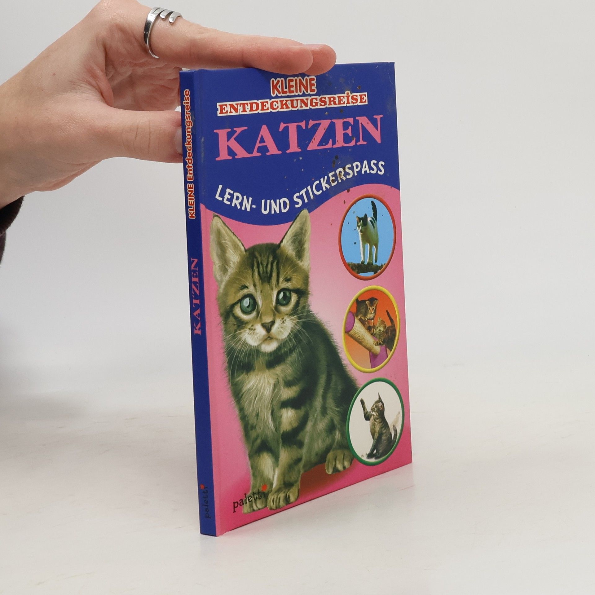 Autorenkollektiv Kleine Entdeckungsreise. Katzen
