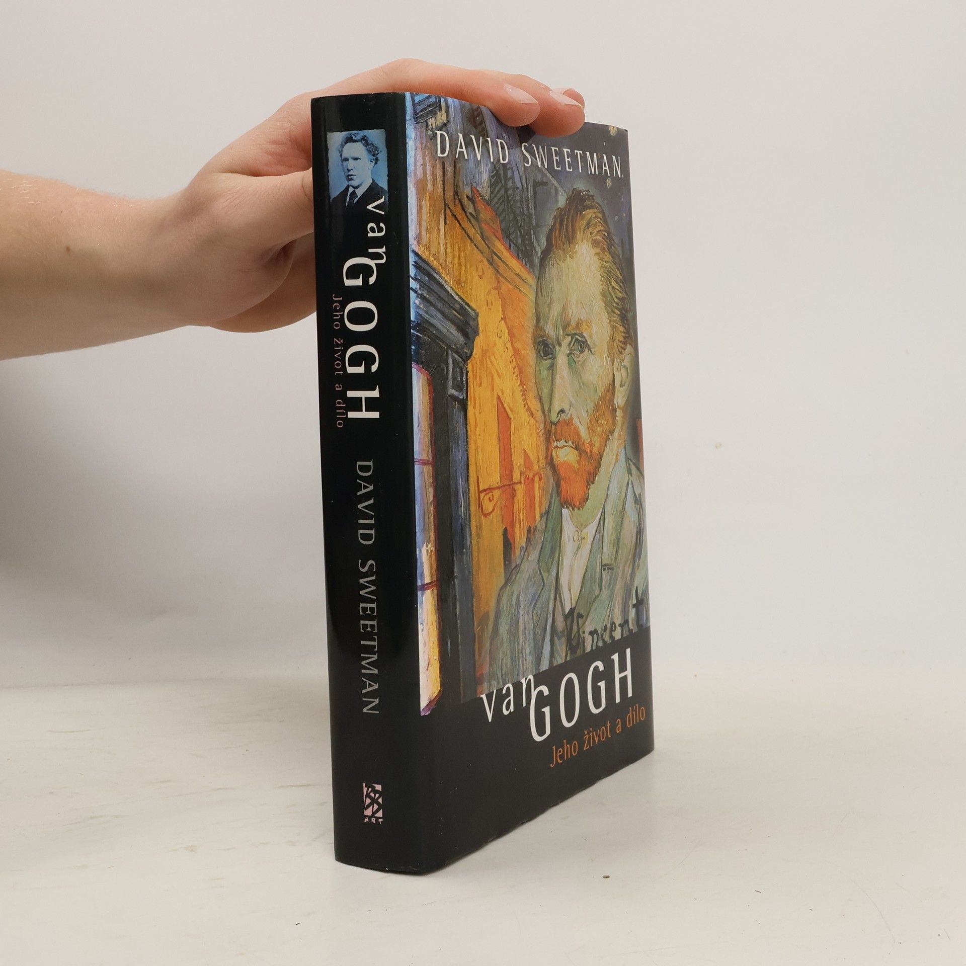 David Sweetman Van Gogh. Jeho život a dílo