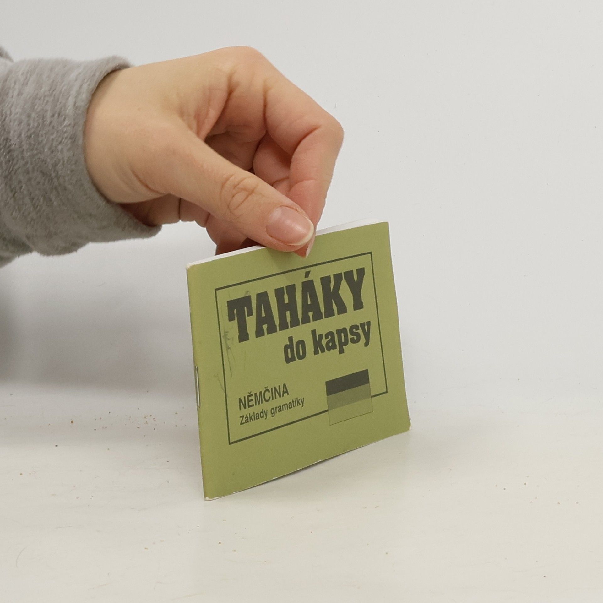 Zdeňka Stellnerová Němčina : základy gramatiky