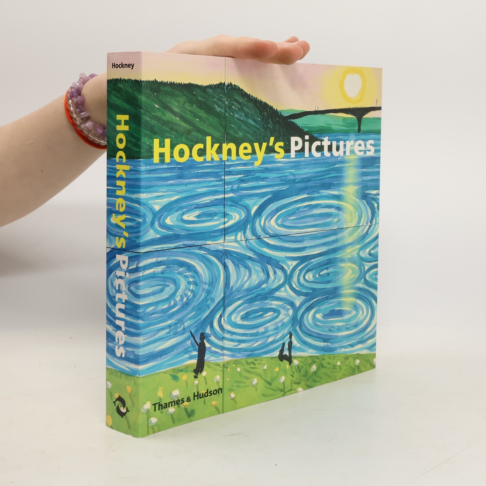 David Hockney Hockney's Pictures