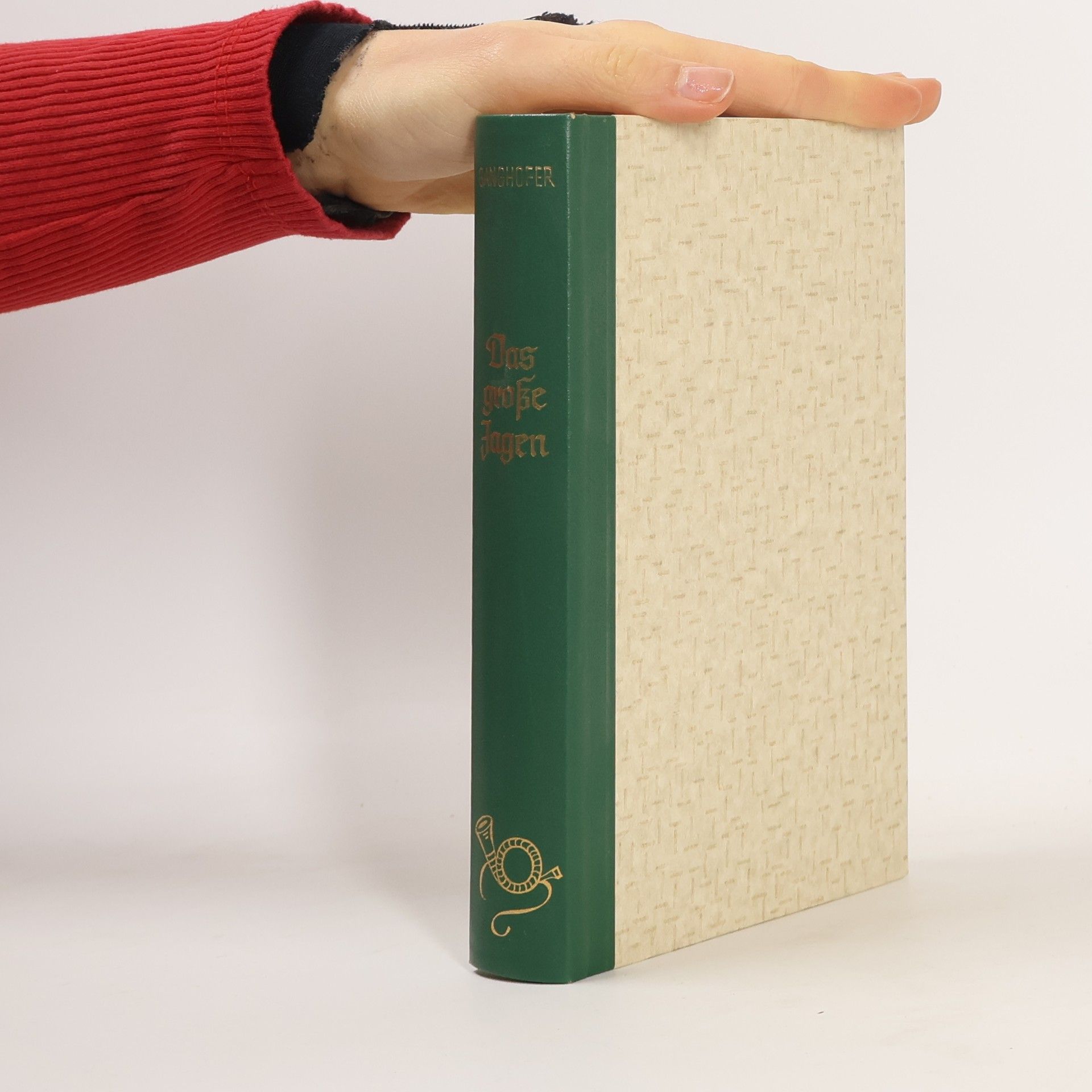 Ludwig Ganghofer Das Grosse Jagen