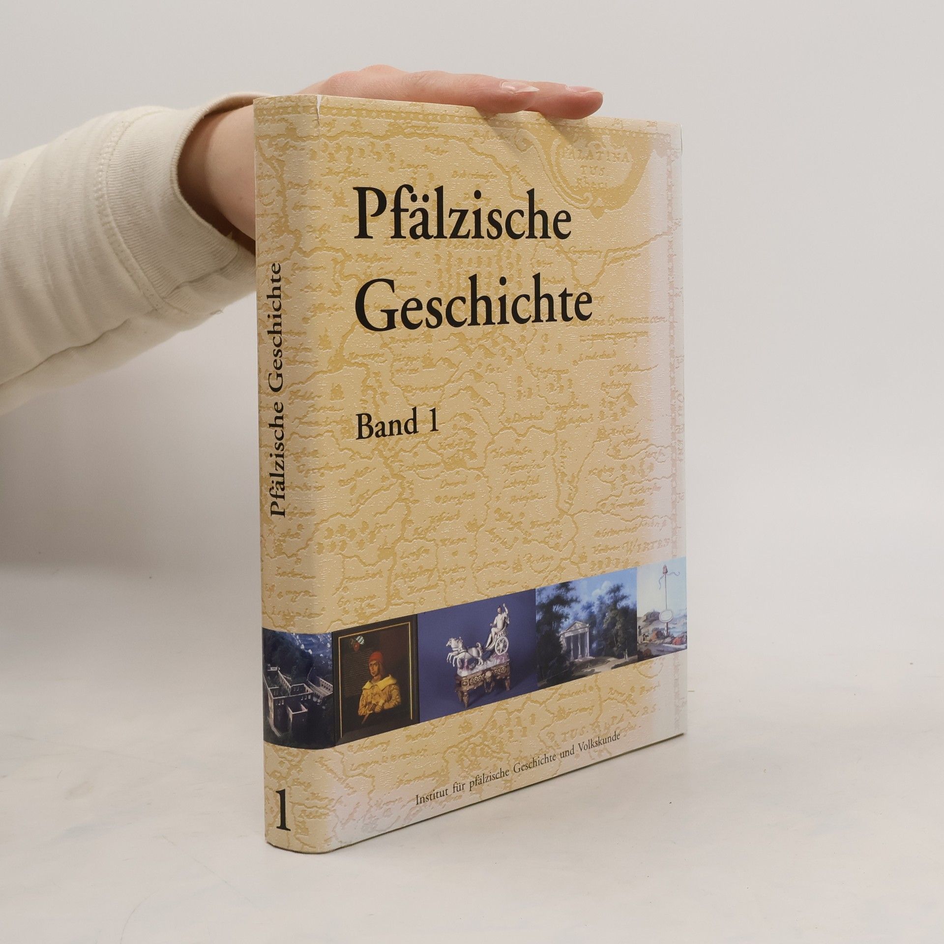 Pfälzische Geschichte