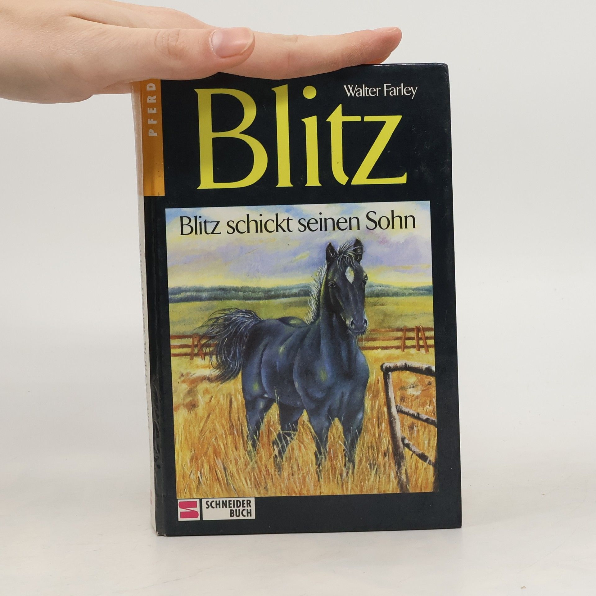 Walter Farley Blitz schickt seinen Sohn