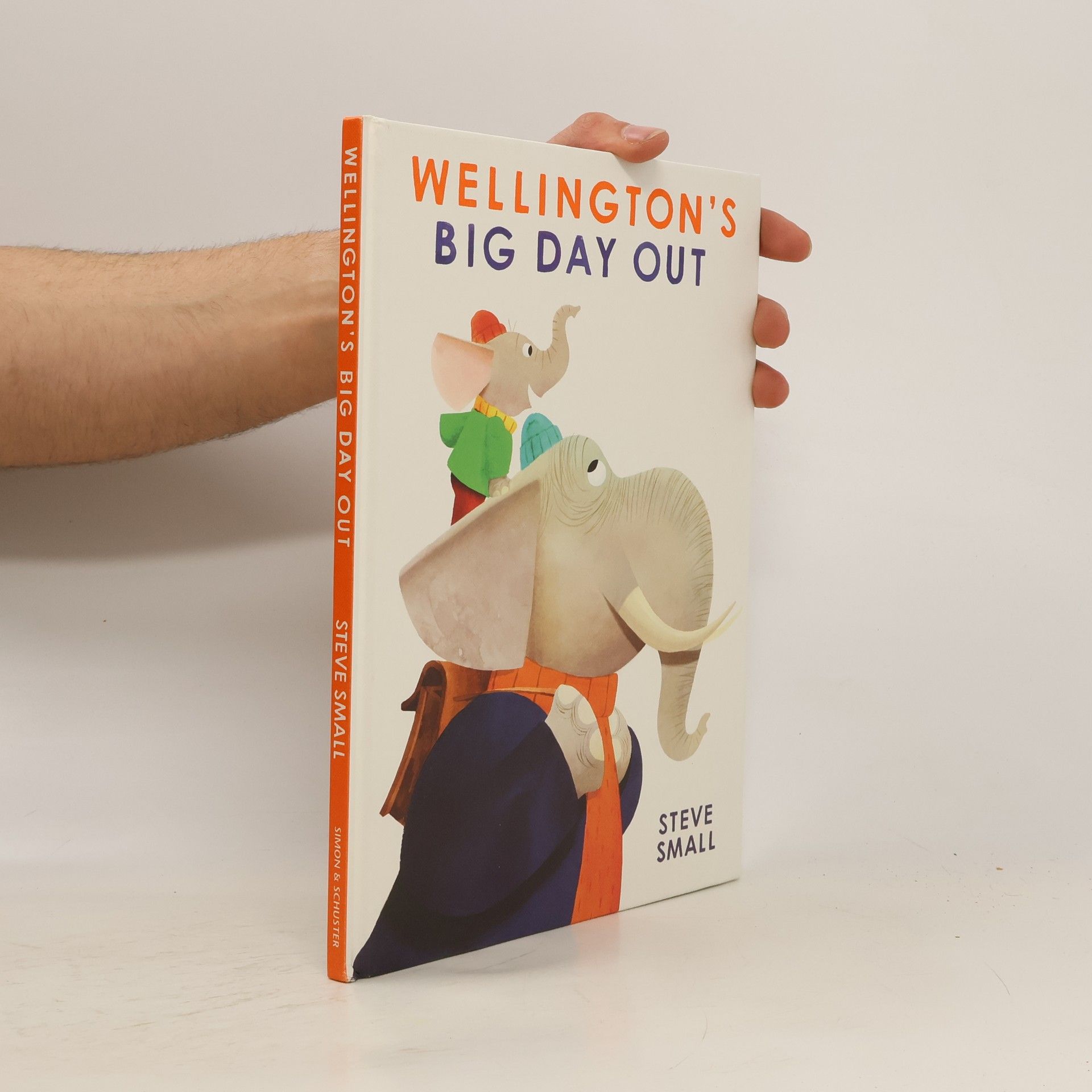 Simon & Schuster Ltd Wellington's Big Day Out