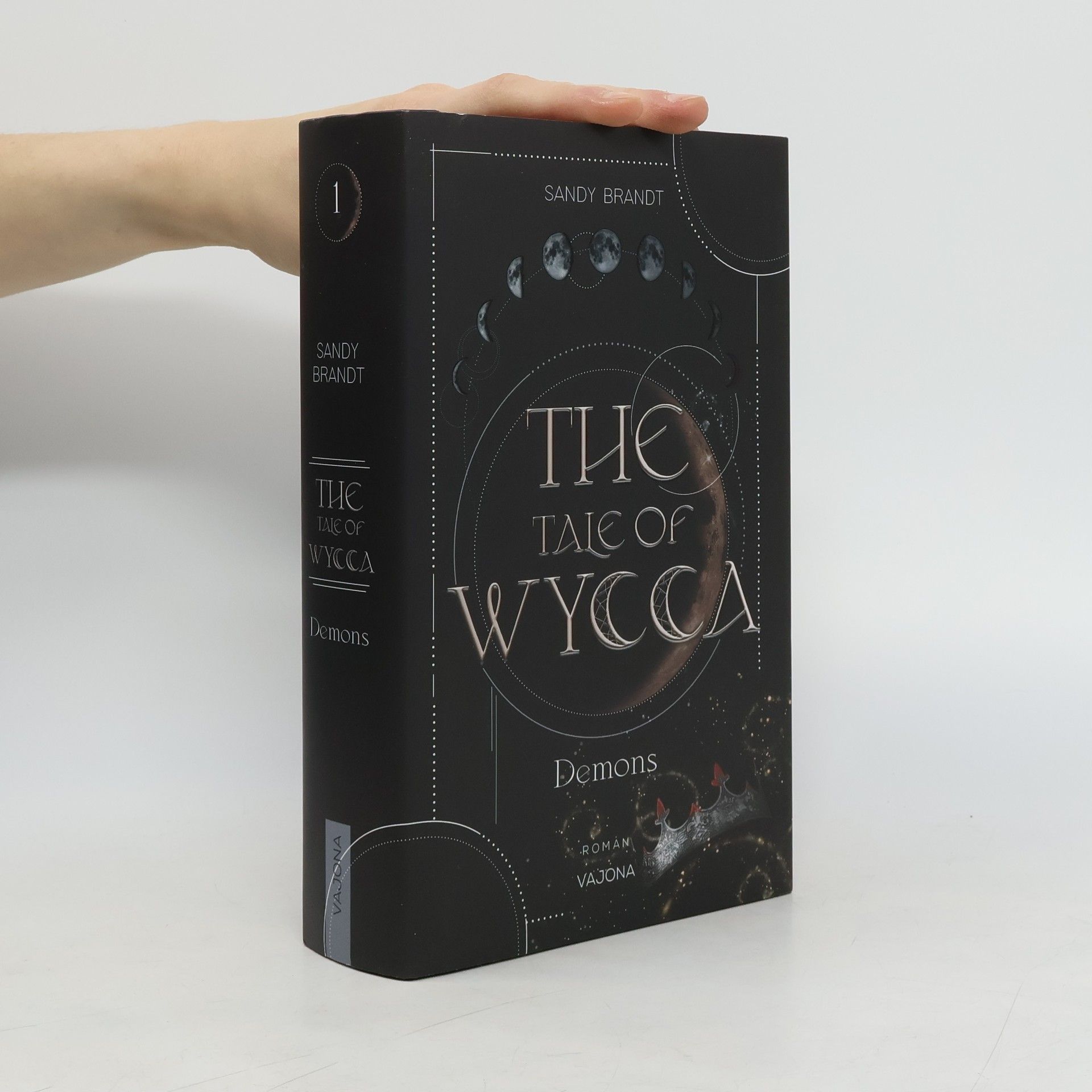Sandy Brandt THE TALE OF WYCCA: Demons (WYCCA-Reihe 1)