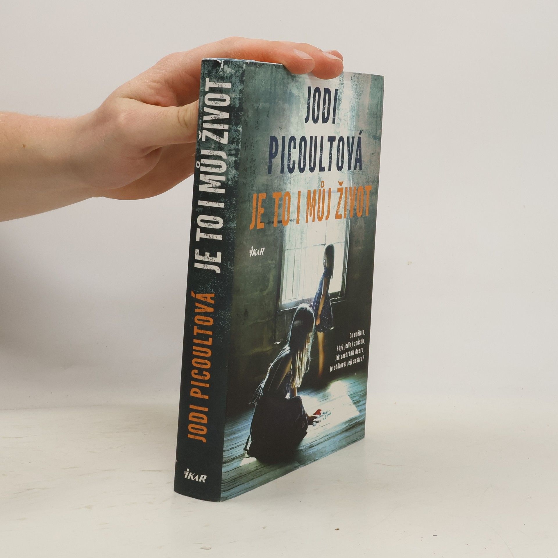 Jodi Picoult Je to i můj život