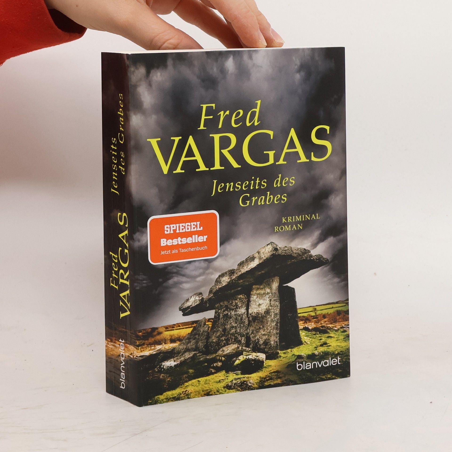 Fred Vargas Jenseits des Grabes