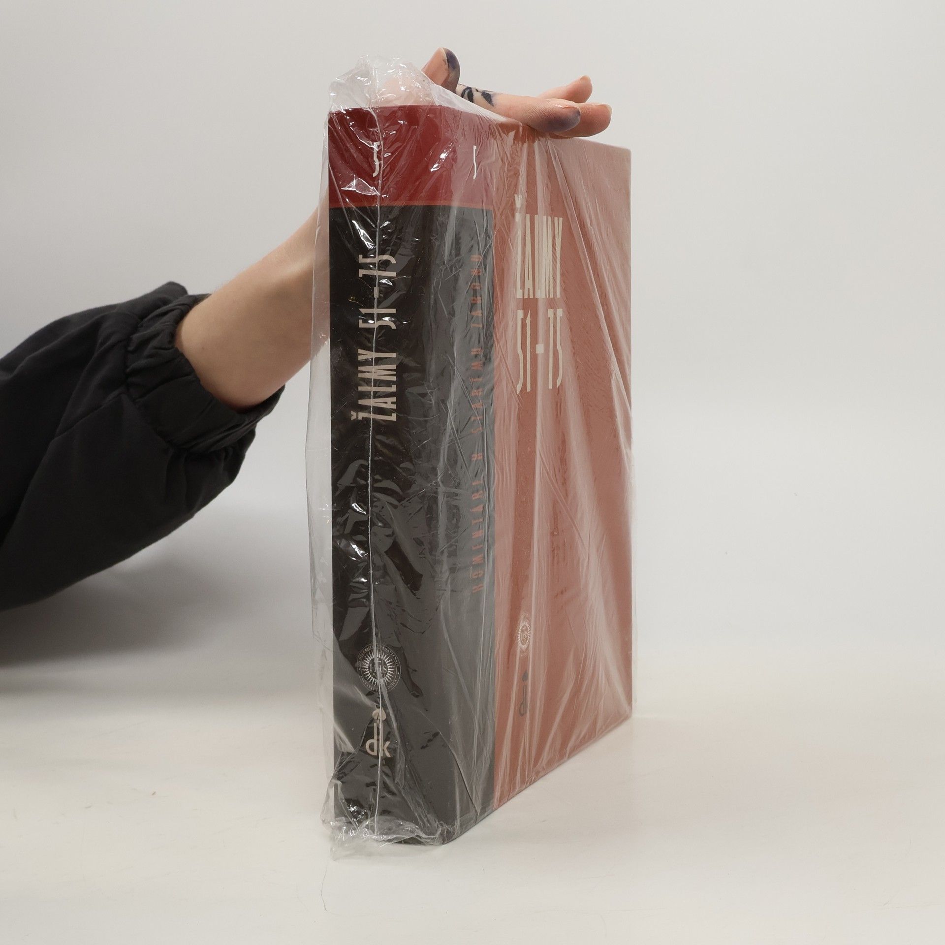 Bohdaň Hroboň Komentáre k Starému zákonu. Žalmy 51-75