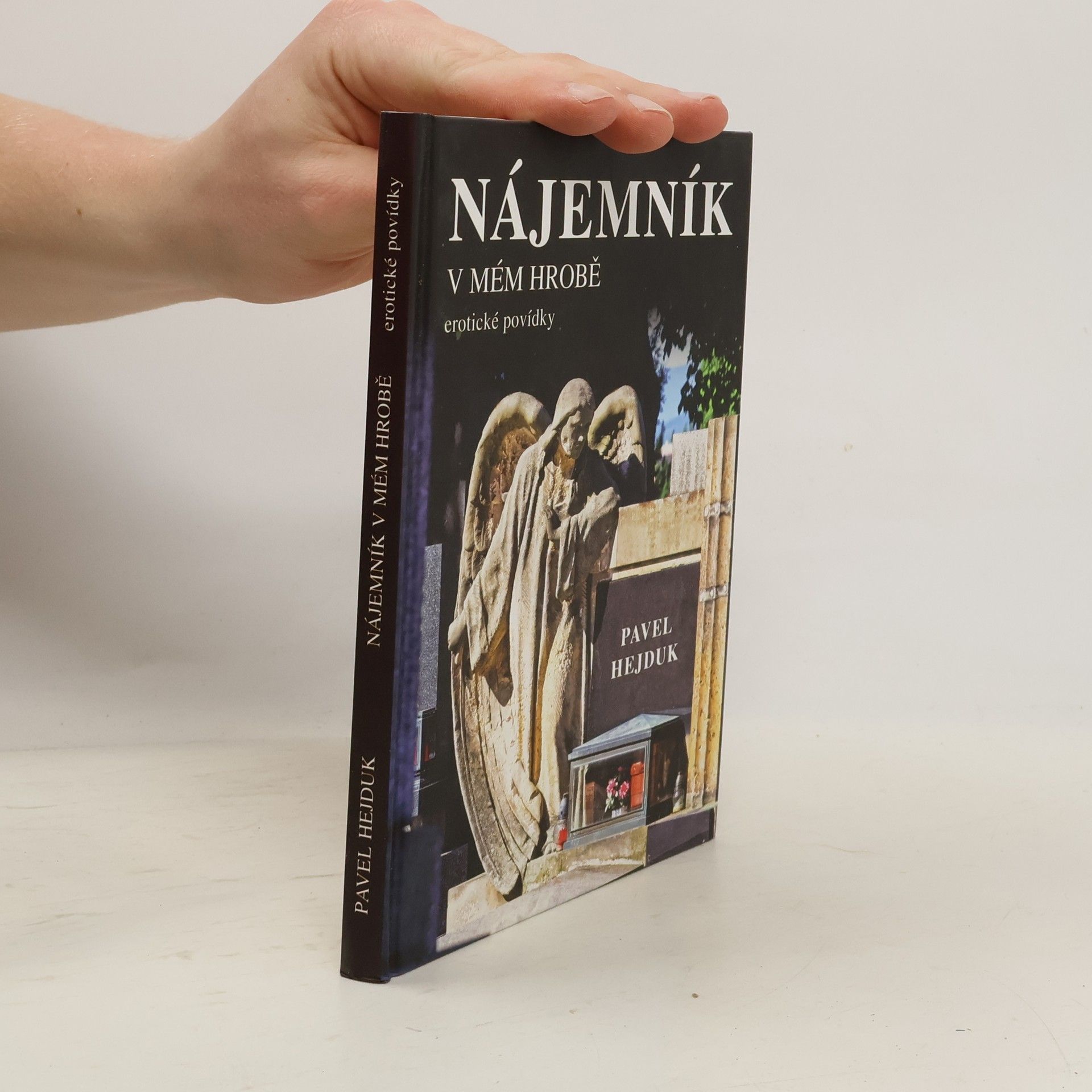 Pavel Hejduk Nájemník v mém hrobě. Erotické povídky