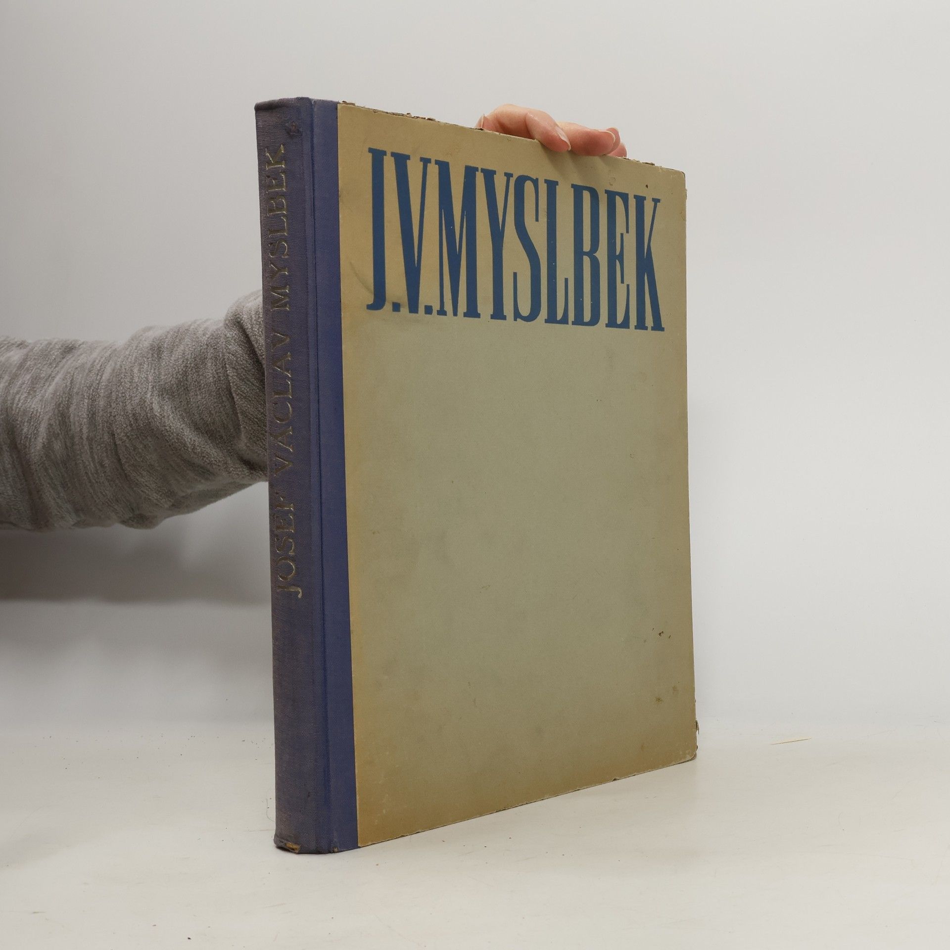 Vojtěch Volavka J. V. Myslbek