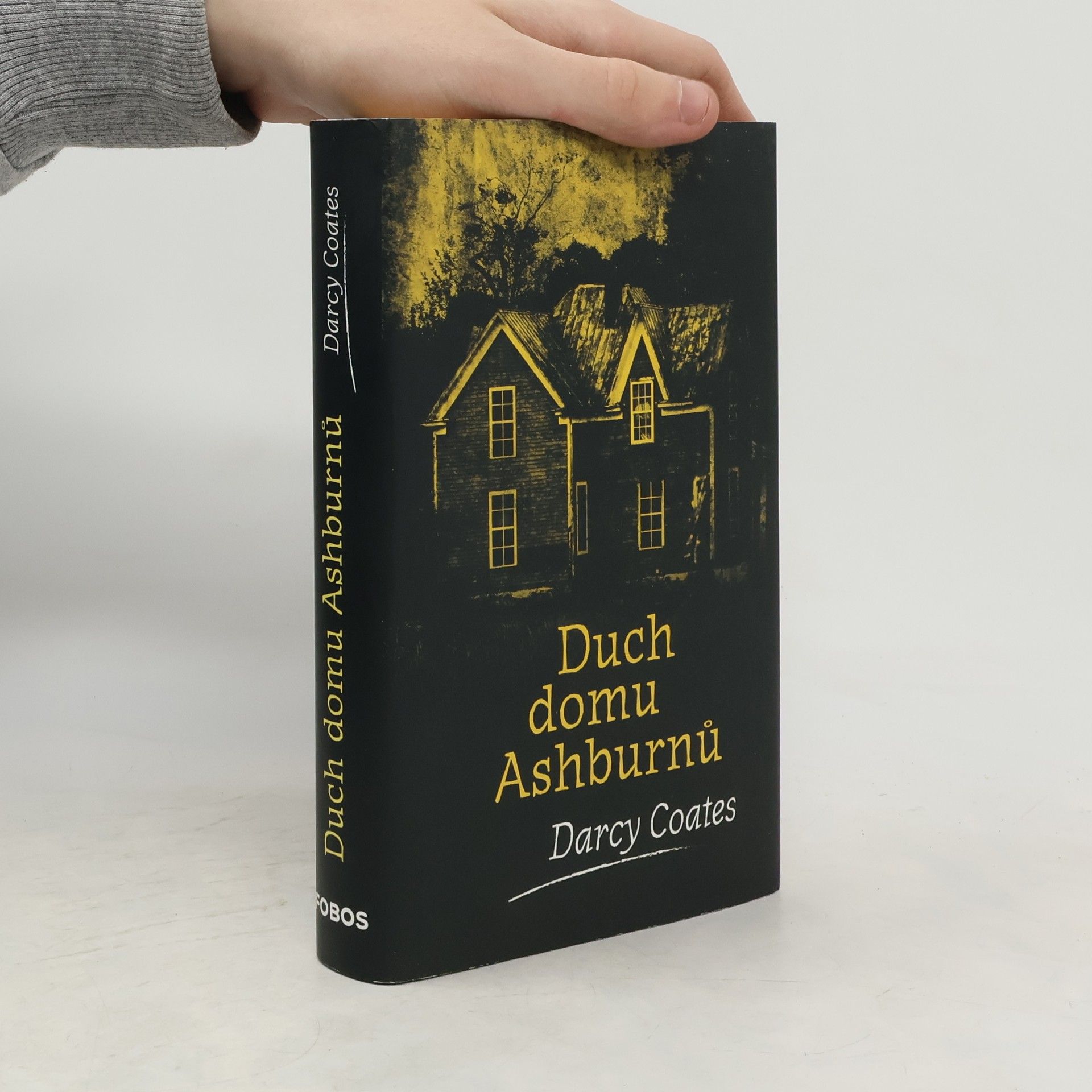 Darcy Coates Duch domu Ashburnů