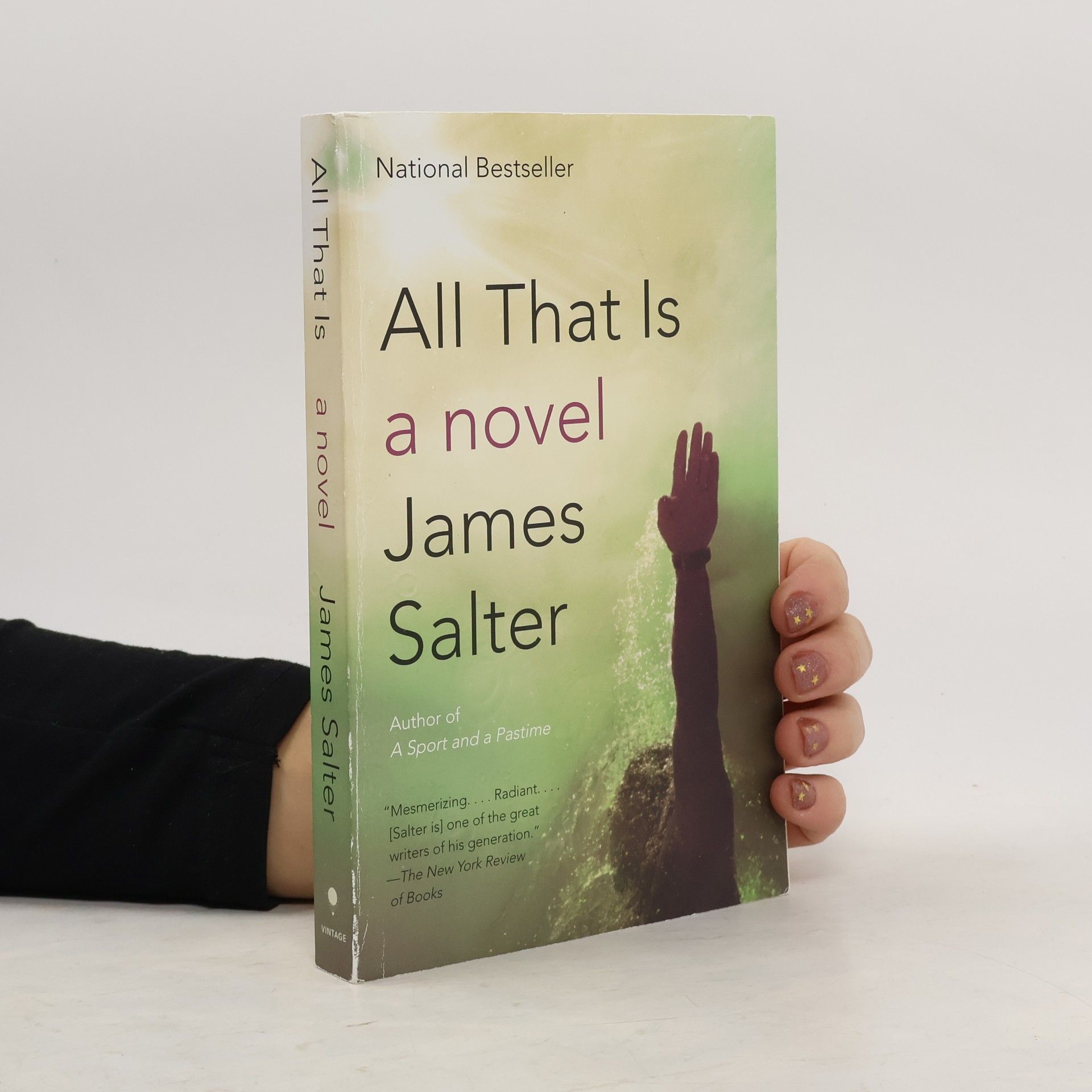 James Salter All That Is