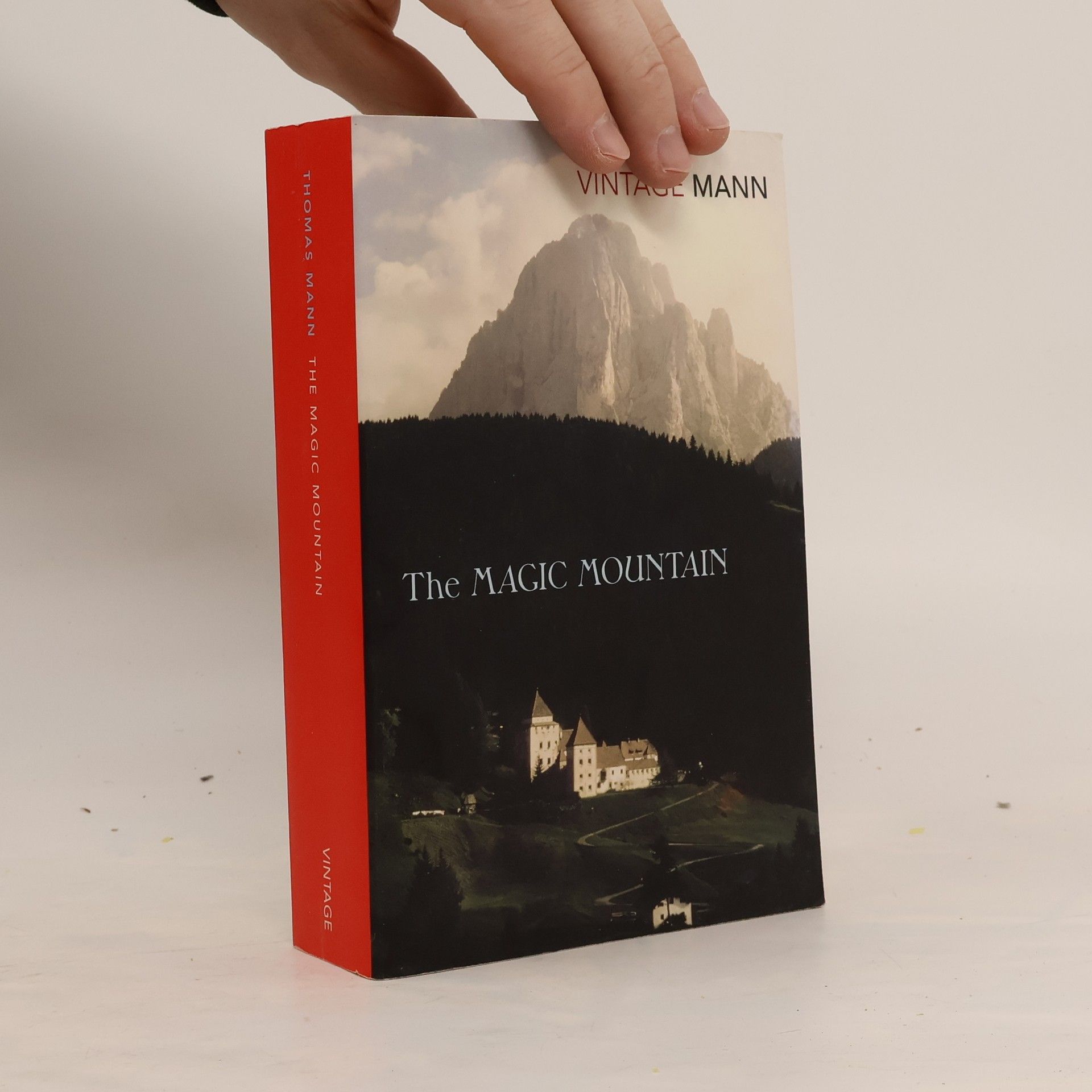 Thomas Mann The Magic Mountain