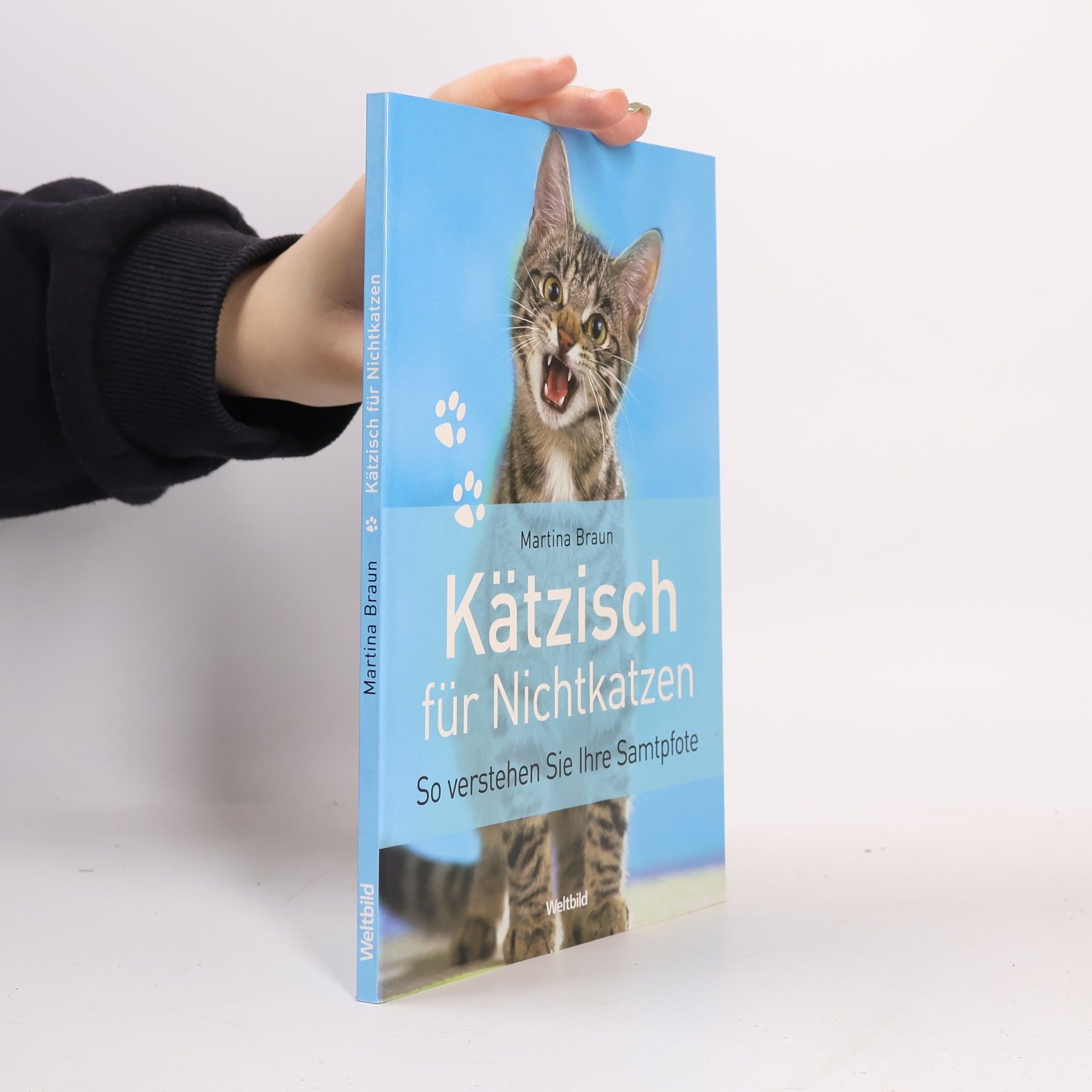 Martina Braun Kätzisch für Nichtkatzen