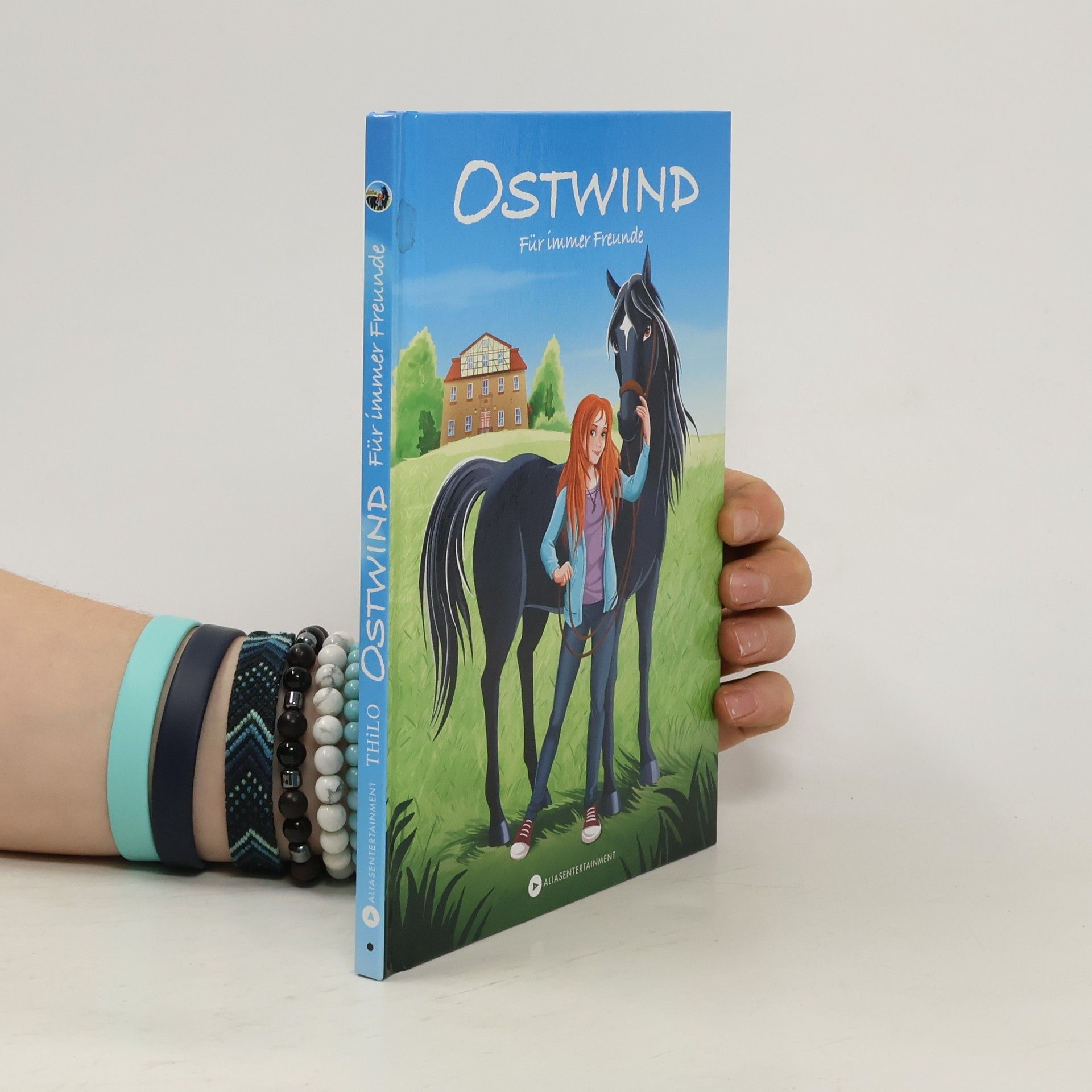 Thilo Ostwind - für immer Freunde