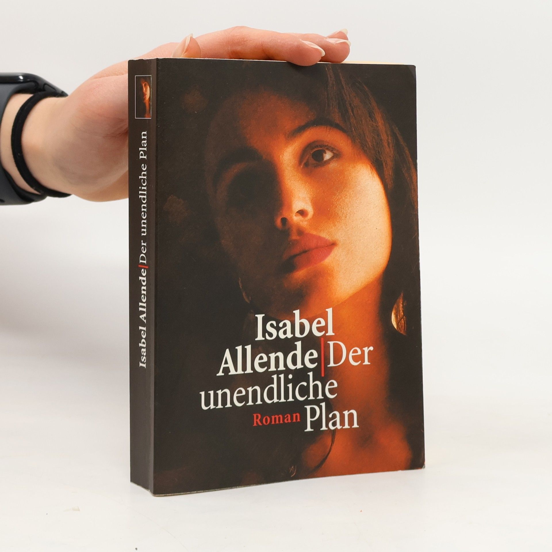 Kolektiv autorů Der unendliche Plan