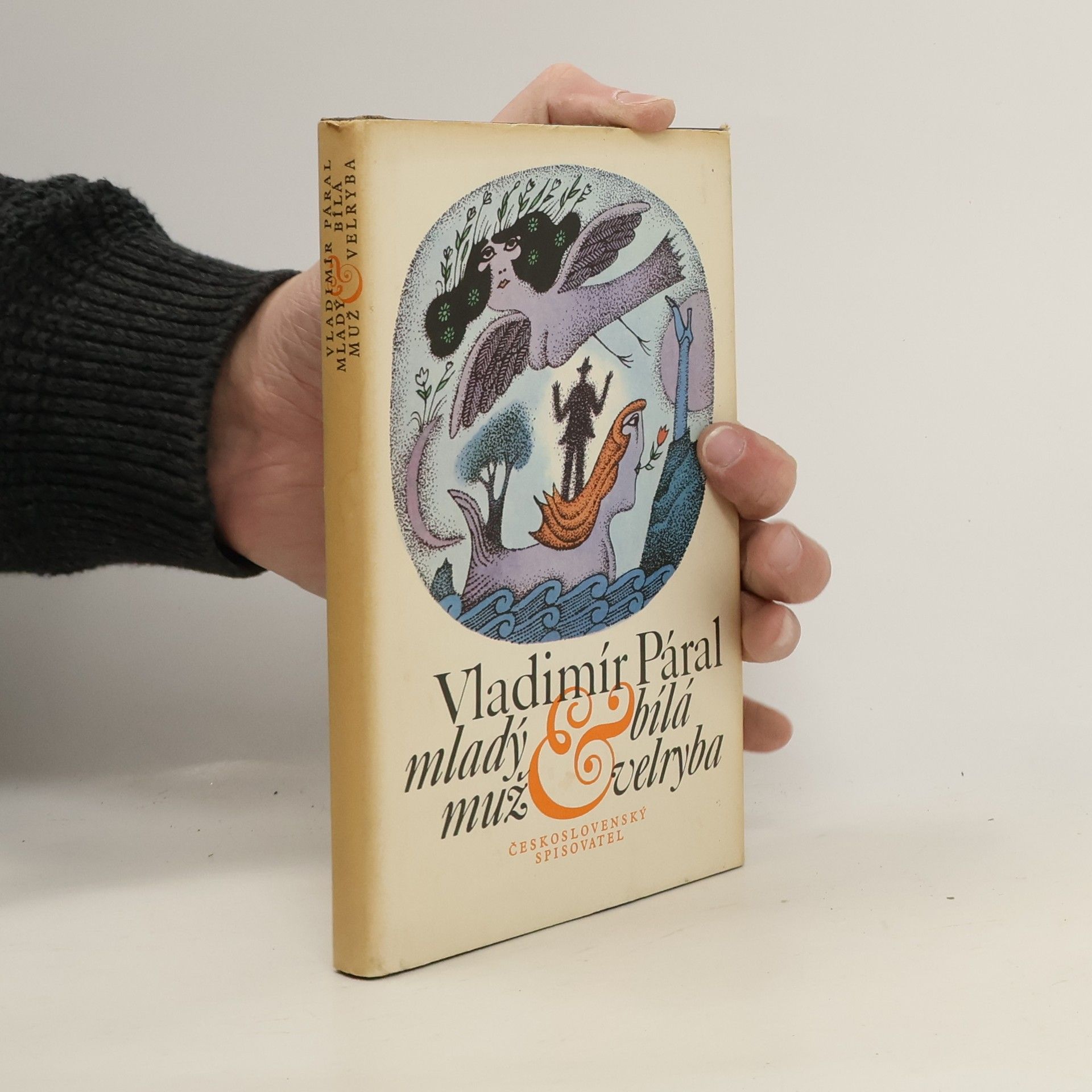 Vladimír Páral Mladý muž a bílá velryba