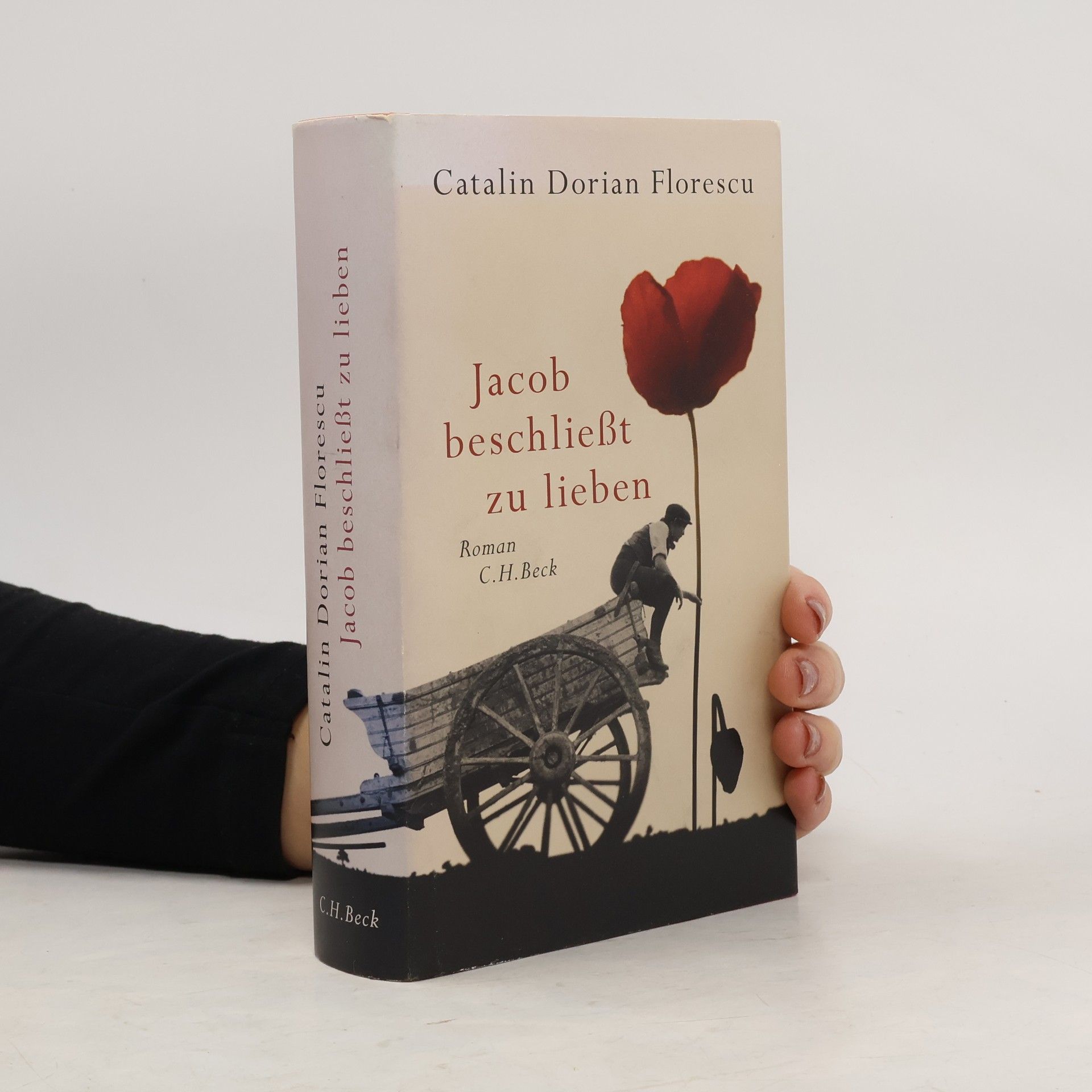 Catalin Dorian Florescu Jacob beschließt zu lieben