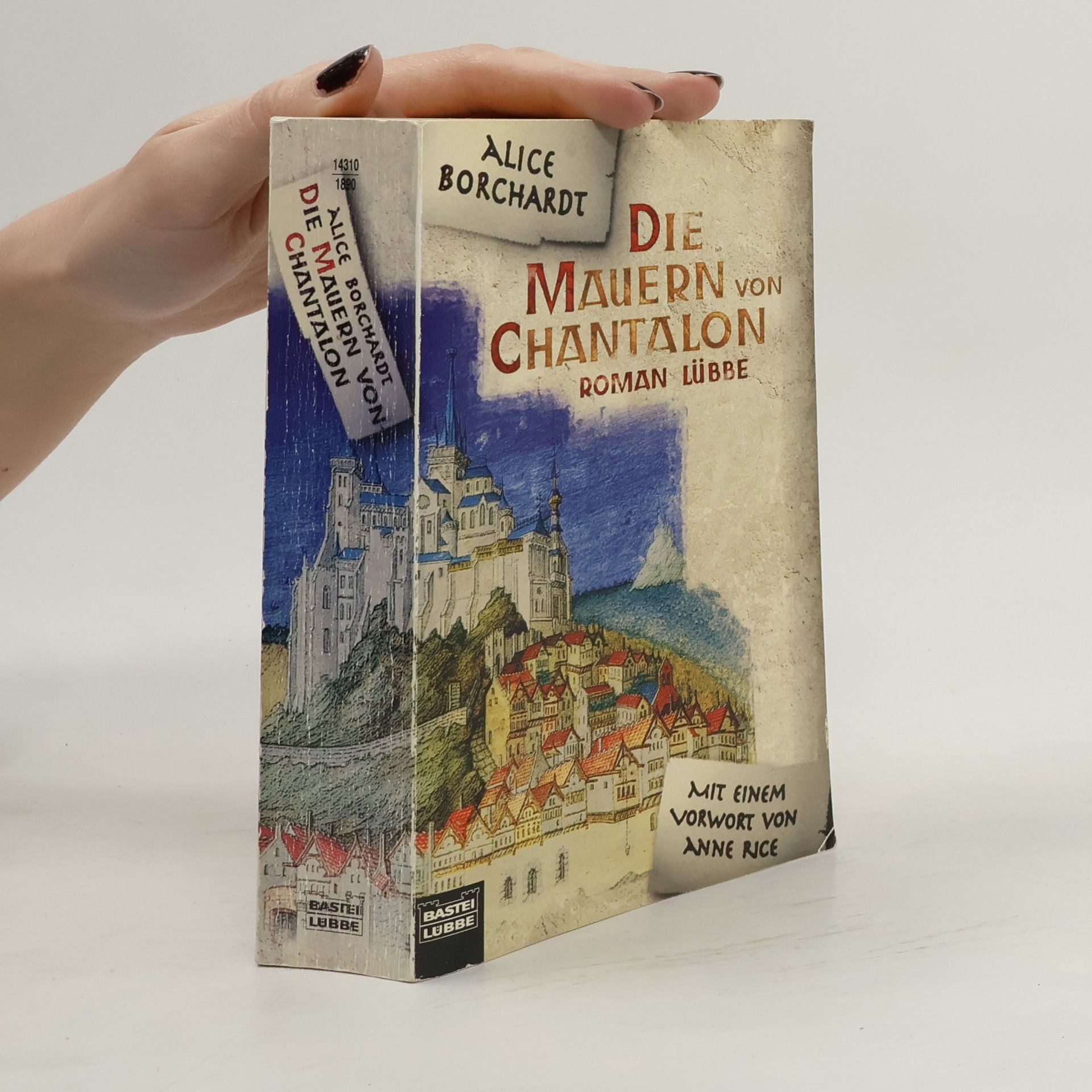 Die Mauern von Chantalon