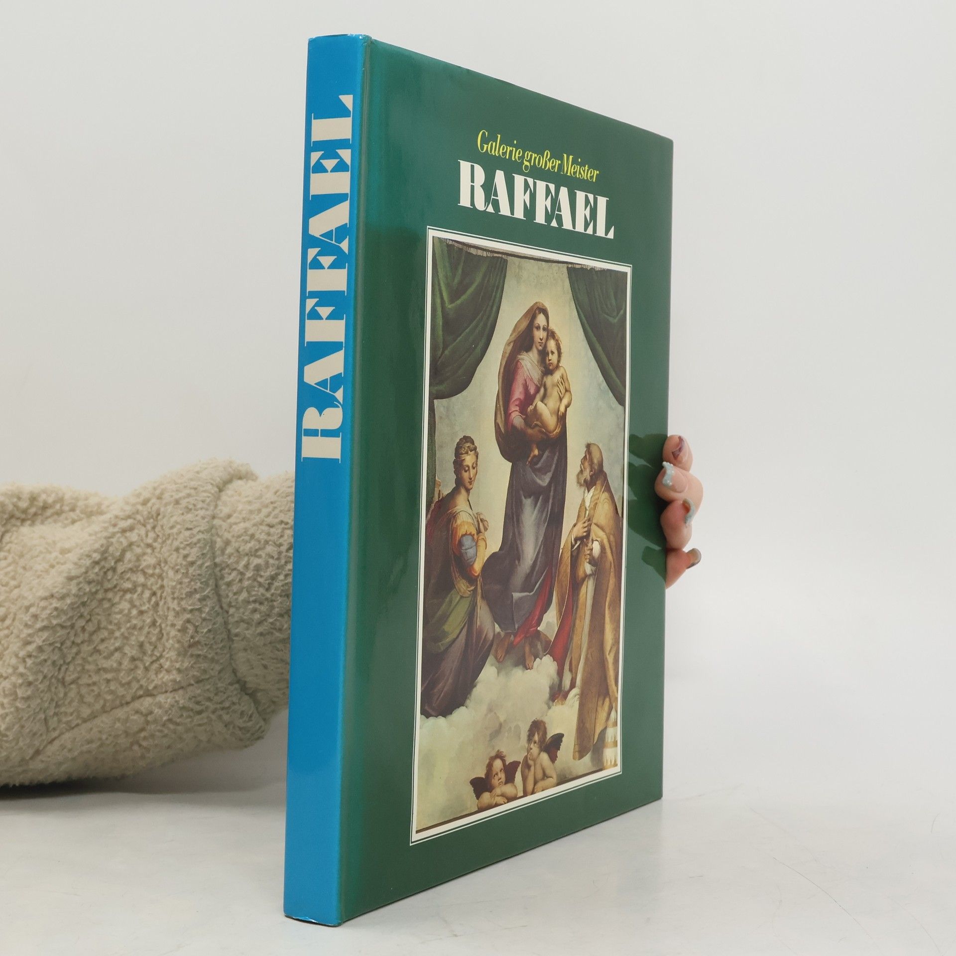 Kolektiv autorů Galerie großer Meister. Raffael