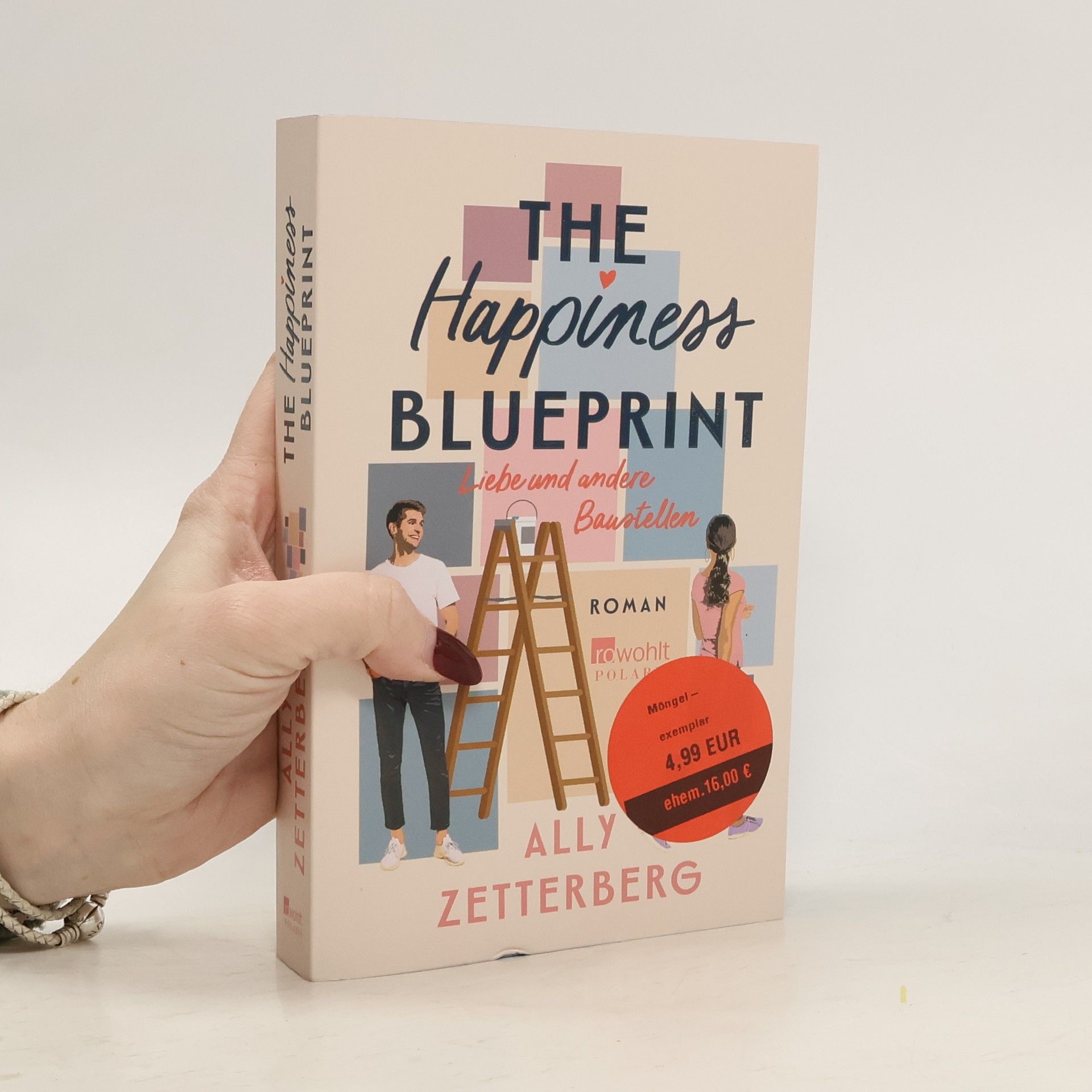 Ally Zetterberg The Happiness Blueprint