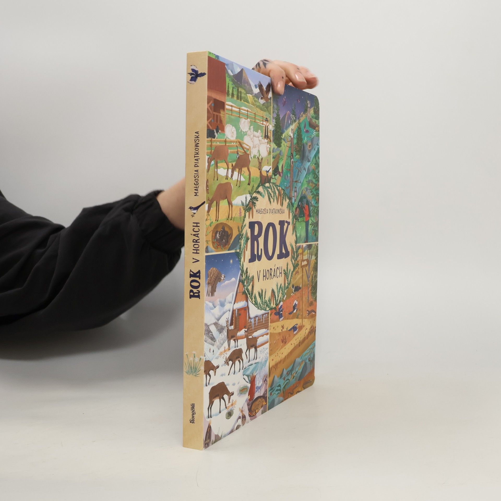 Małgosia Piątkowska Rok v horách