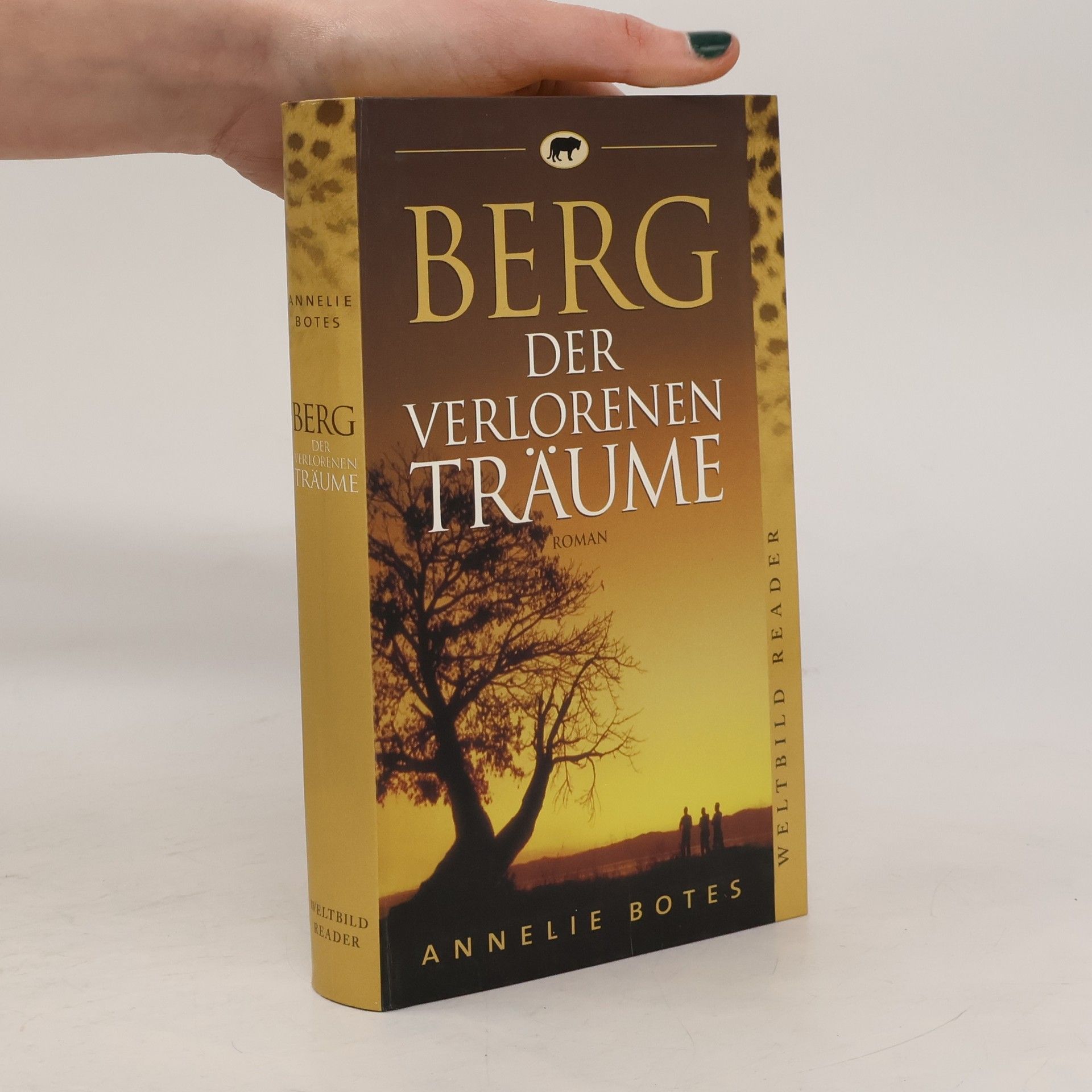 Annelie Botes Berg der verlorenen Träume