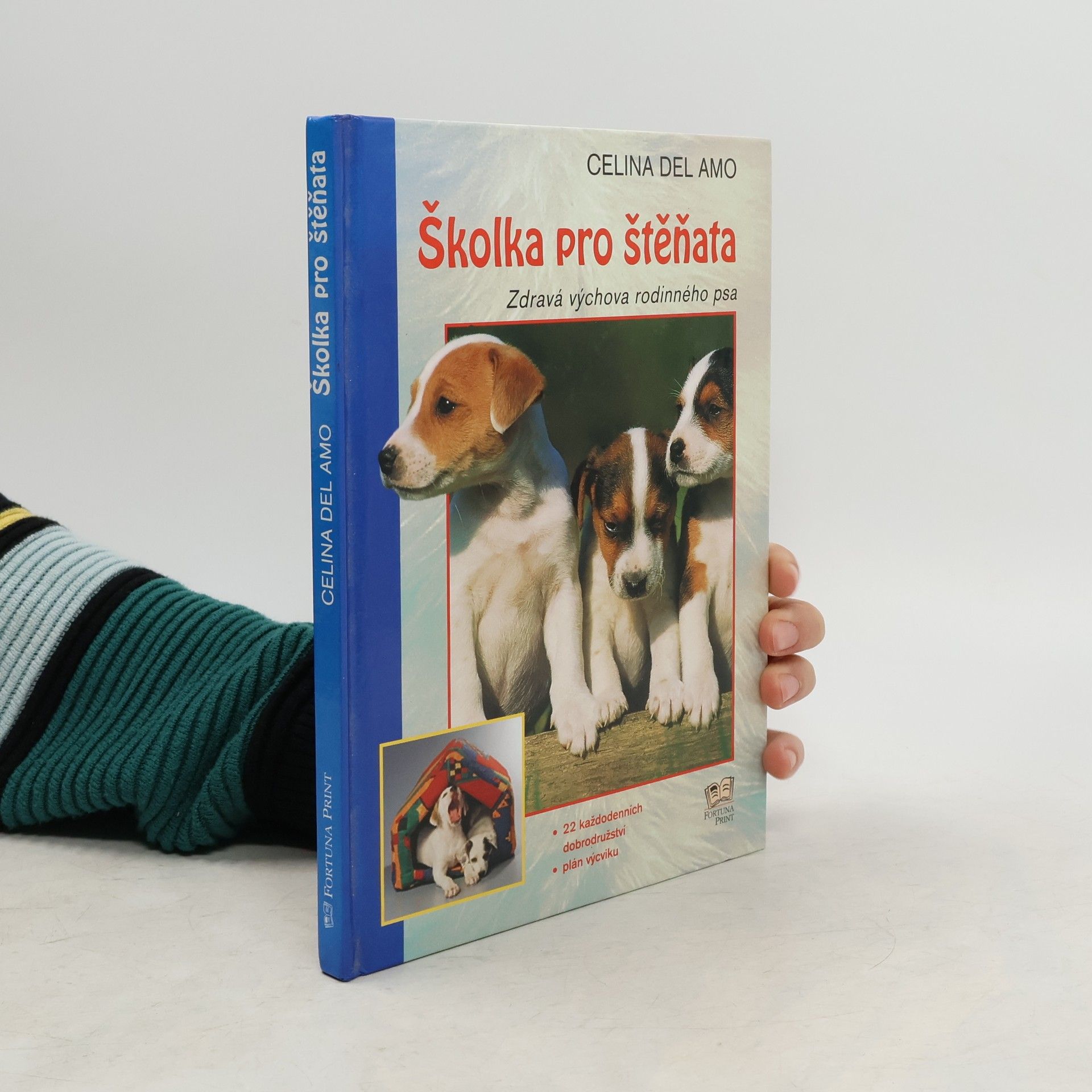 Celina Del Amo Školka pro štěňata: Zdravá výchova rodinného psa