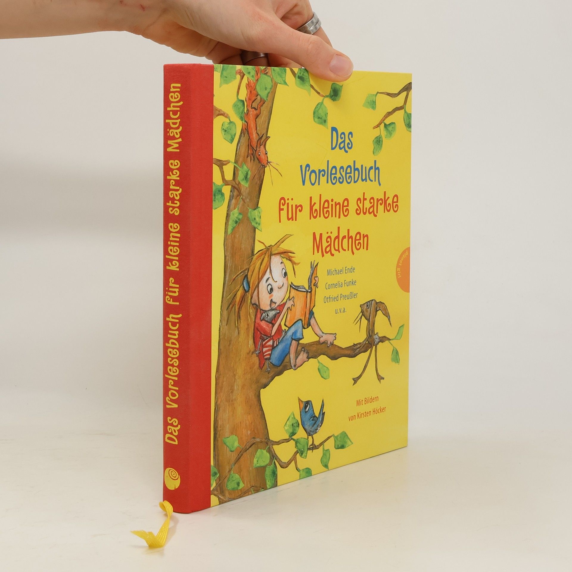 Kirsten Höcker Das Vorlesebuch für kleine starke Mädchen