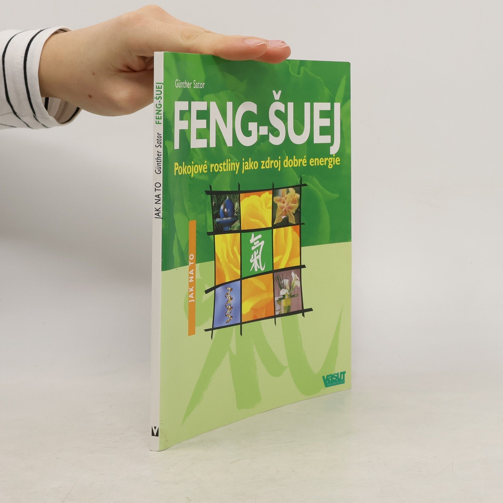 Günther Sator Feng-šuej : pokojové rostliny jako zdroj dobré energie