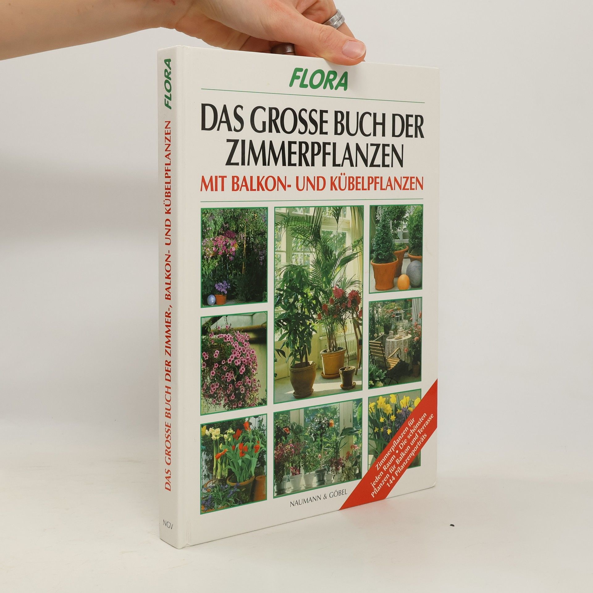 Johannes Haller Das große Buch der Zimmer-, Balkon- und Kübelpflanzen