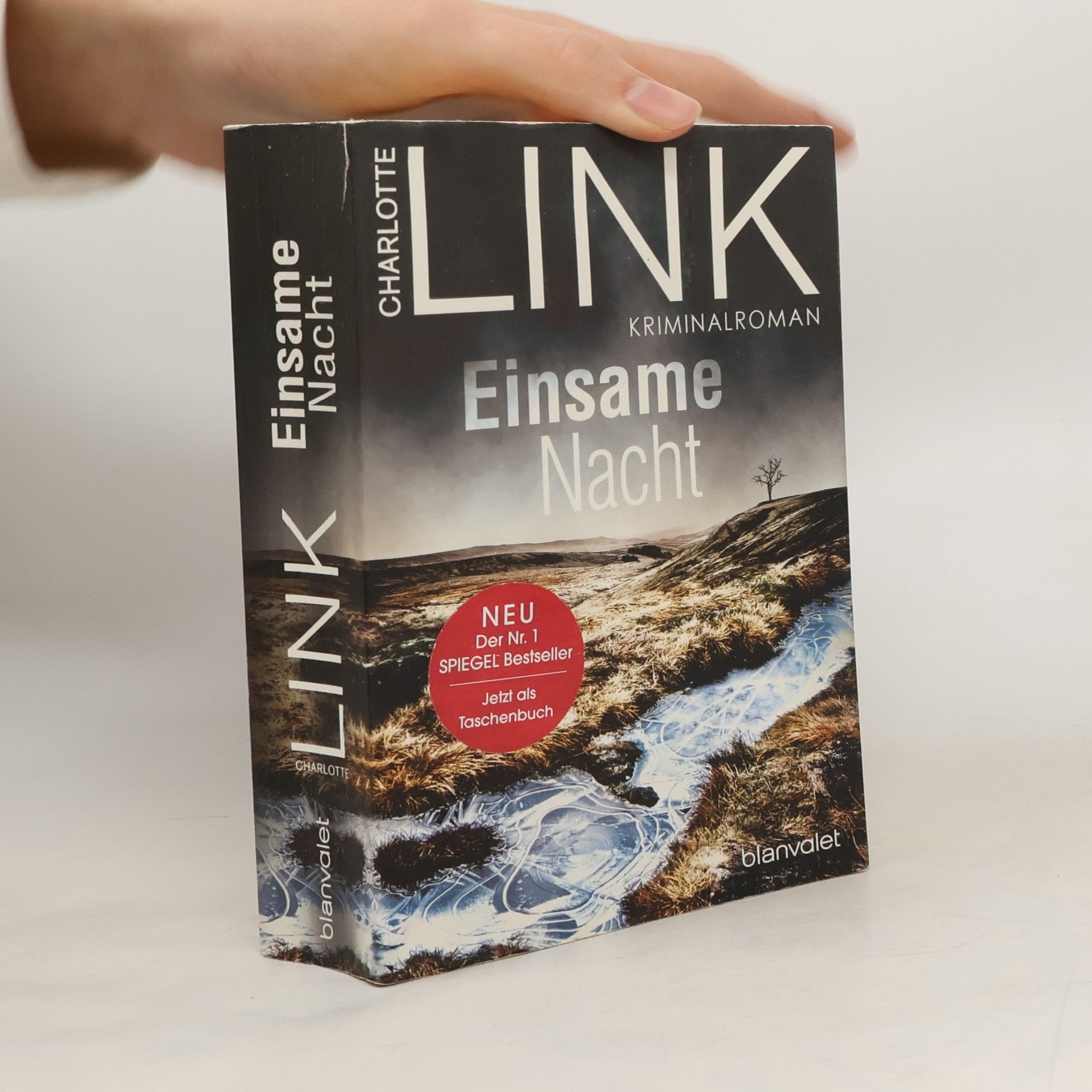 Charlotte Link Einsame Nacht