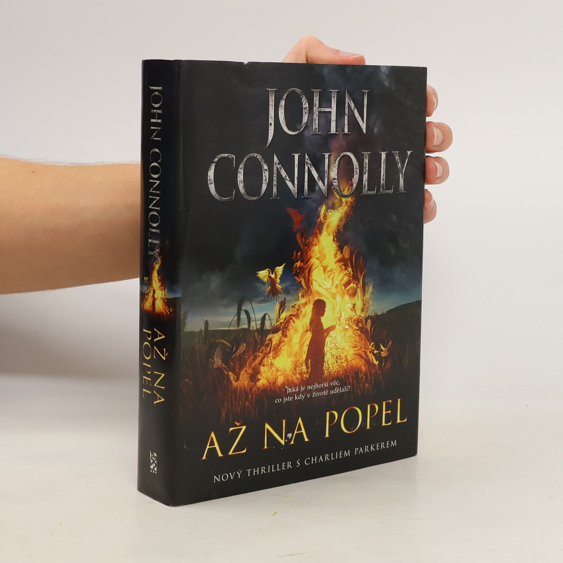 John Connolly Až na popel