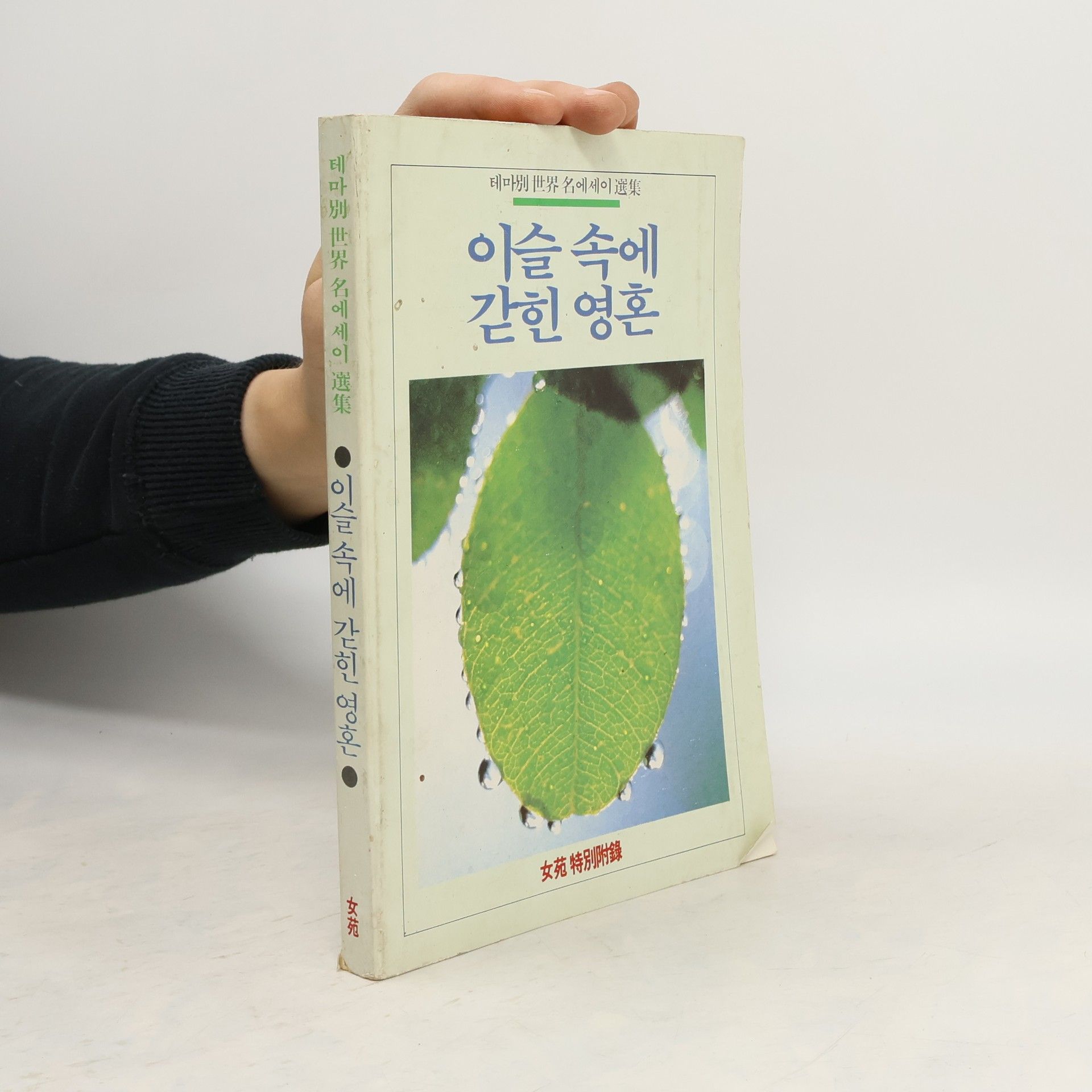 Kim Jae-won 이슬 속에 갇힌 영혼