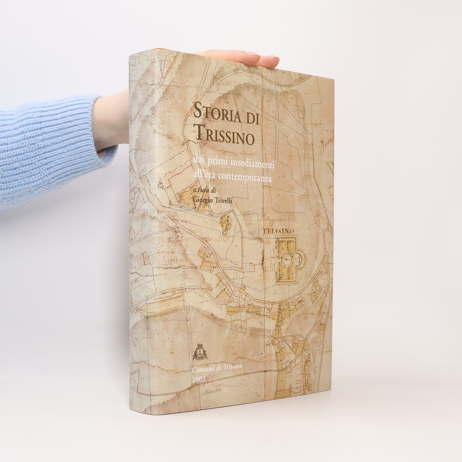 Giorgio Trivelli Storia di Trissino