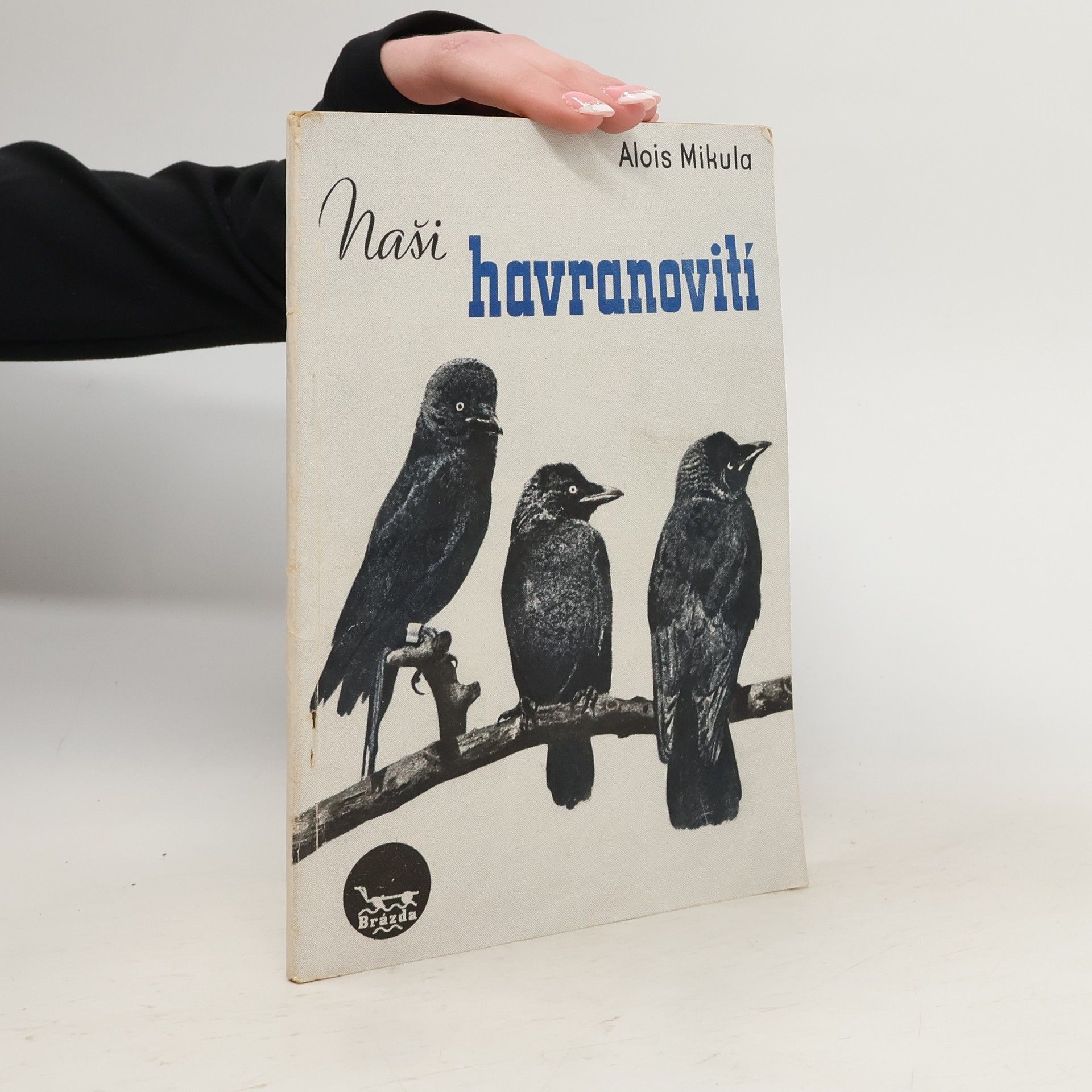 Alois Mikula Naši havranovití