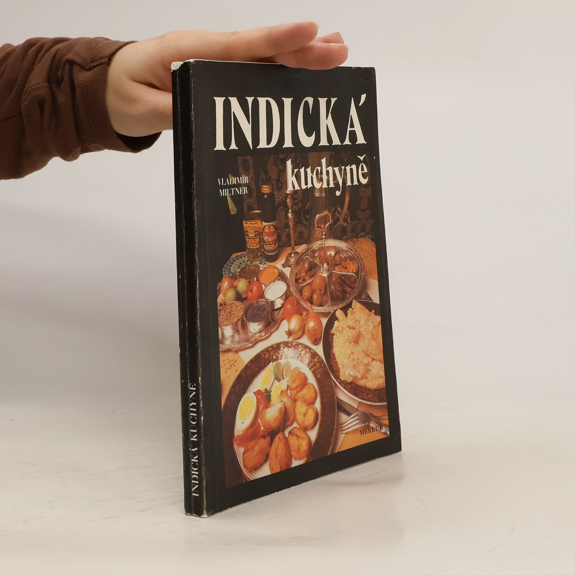 Vladimír Miltner Indická kuchyně