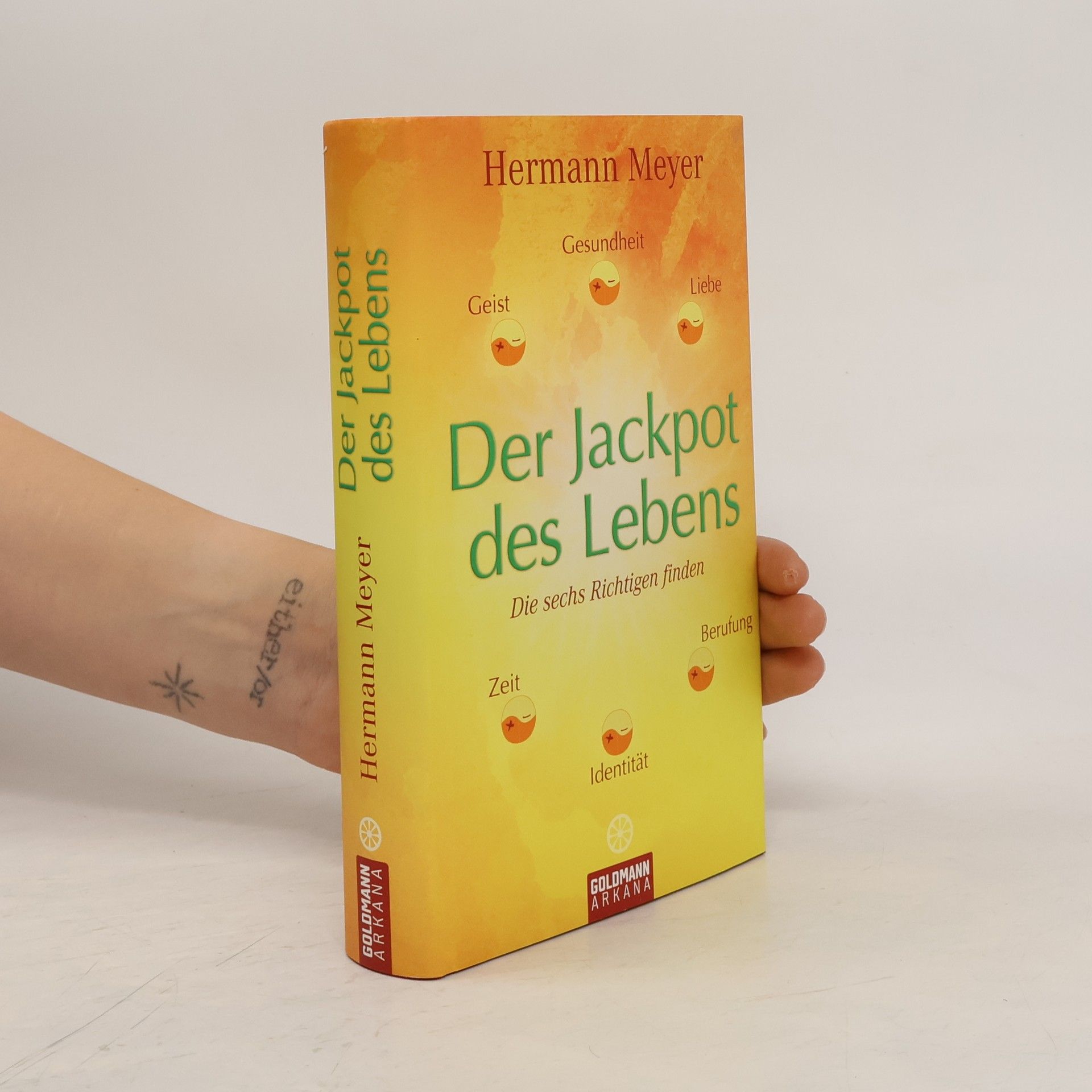 Herman Meyer Der Jackpot des Lebens