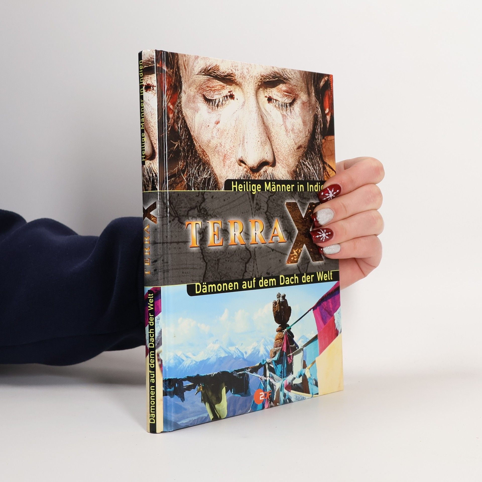 Various authors Terra X. Heilige Männer in Indien. Dämonen auf dem Dach der Welt