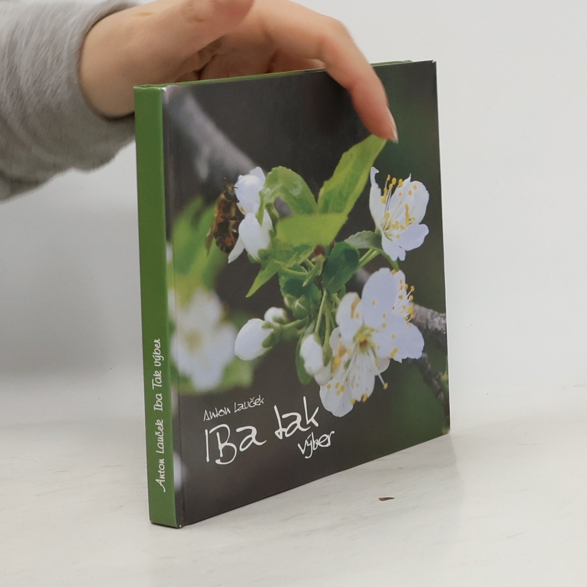 Anton Lauček Iba tak (výber)