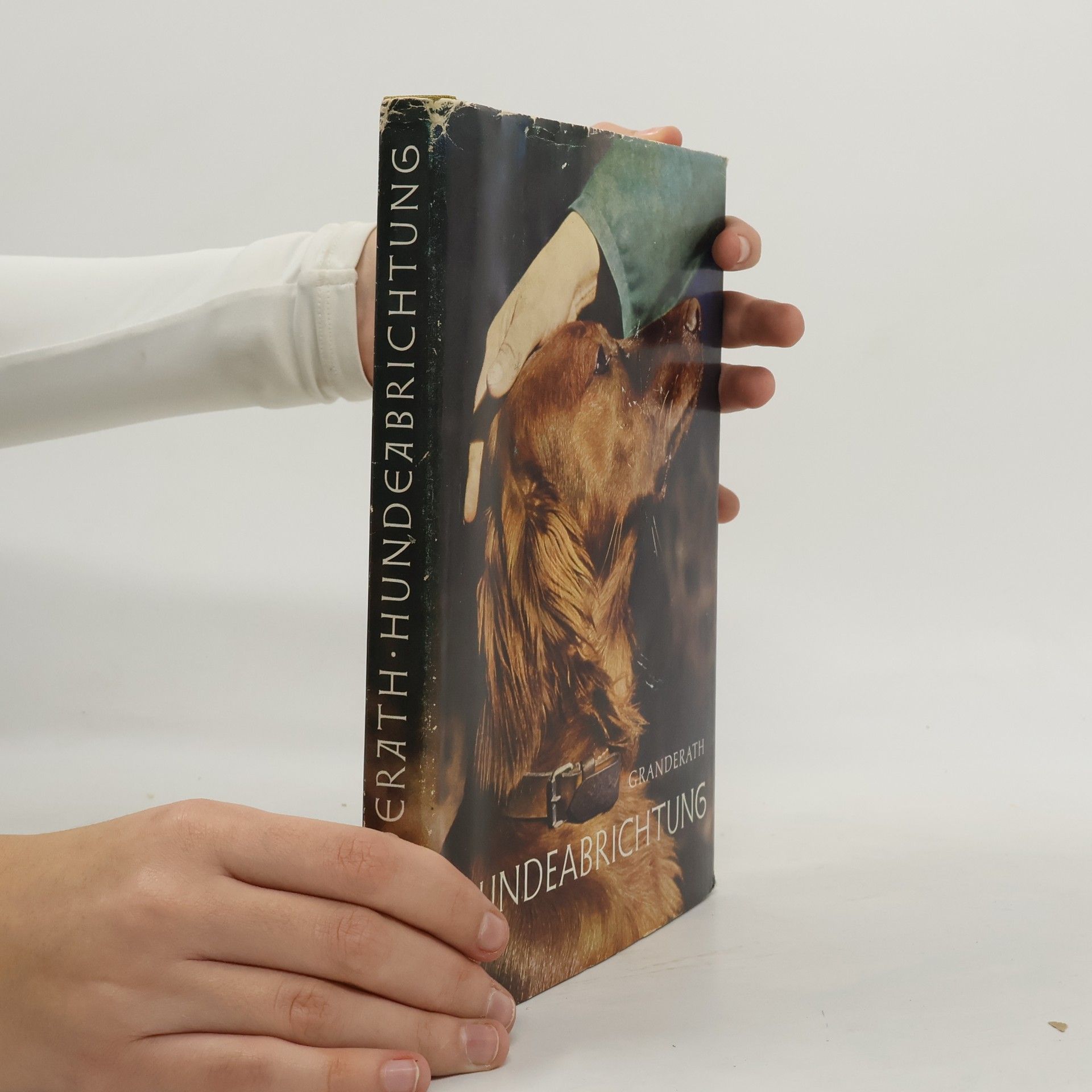 Hundeabrichtung durch wahre Verständigung zwischen Mensch und Hund