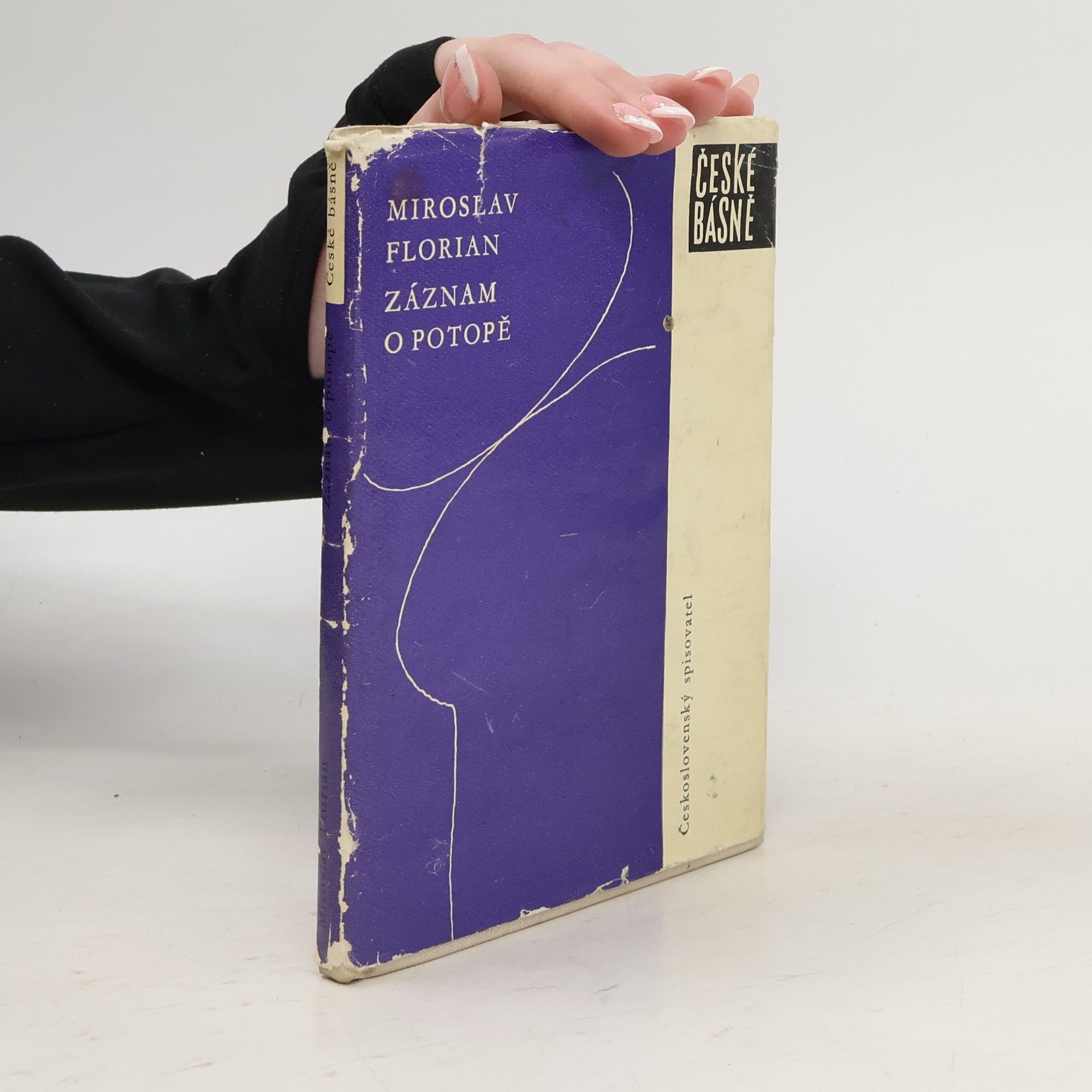 Miroslav Florian Záznam o potopě