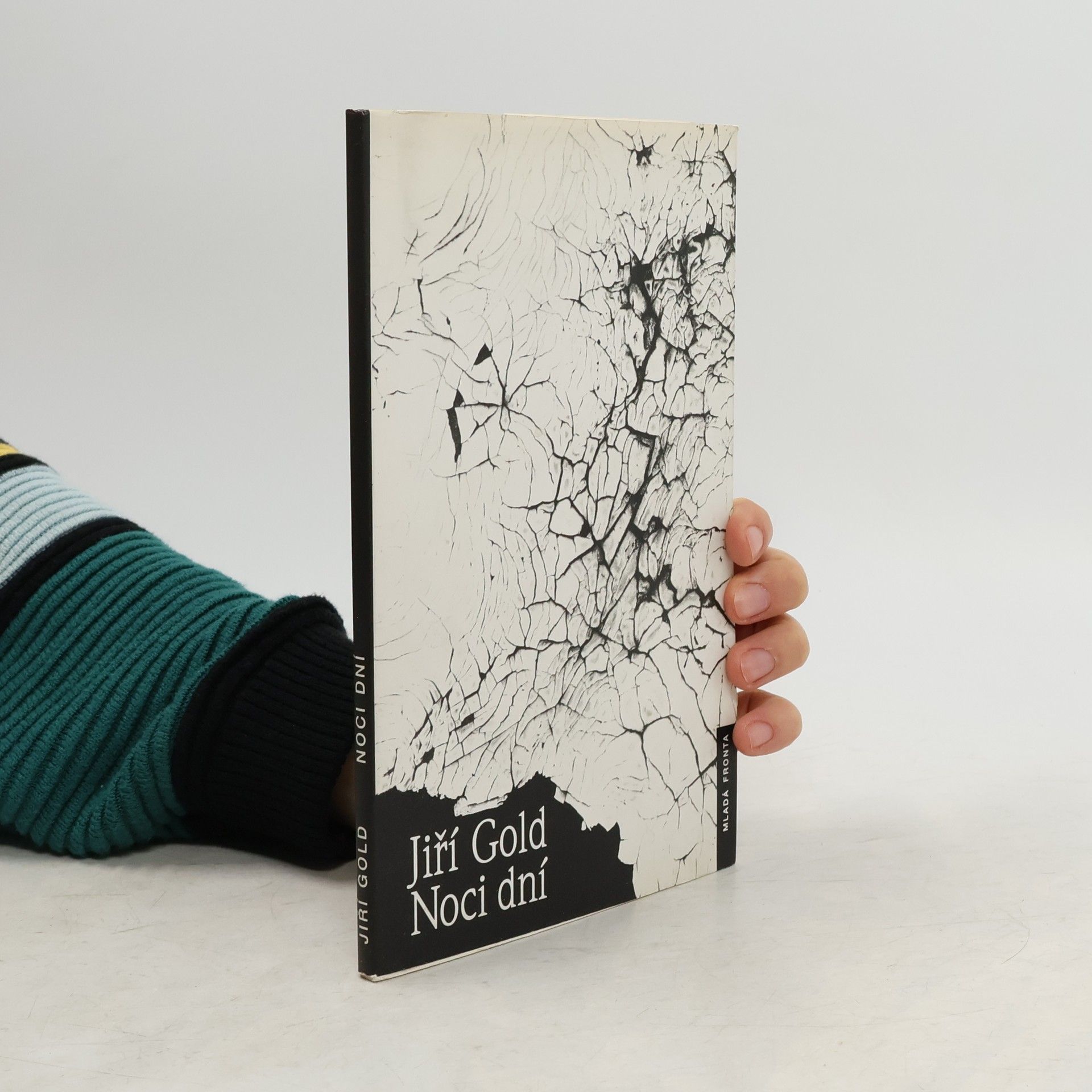 Jiří Gold Noci dní